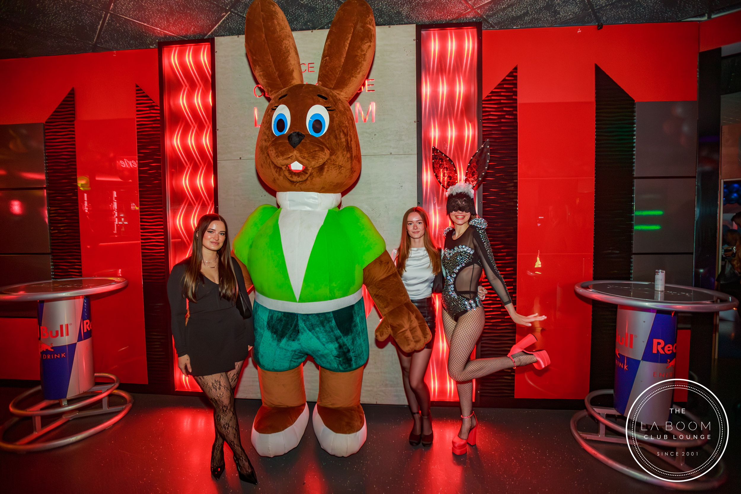 IMG 8984 Verbessert RR