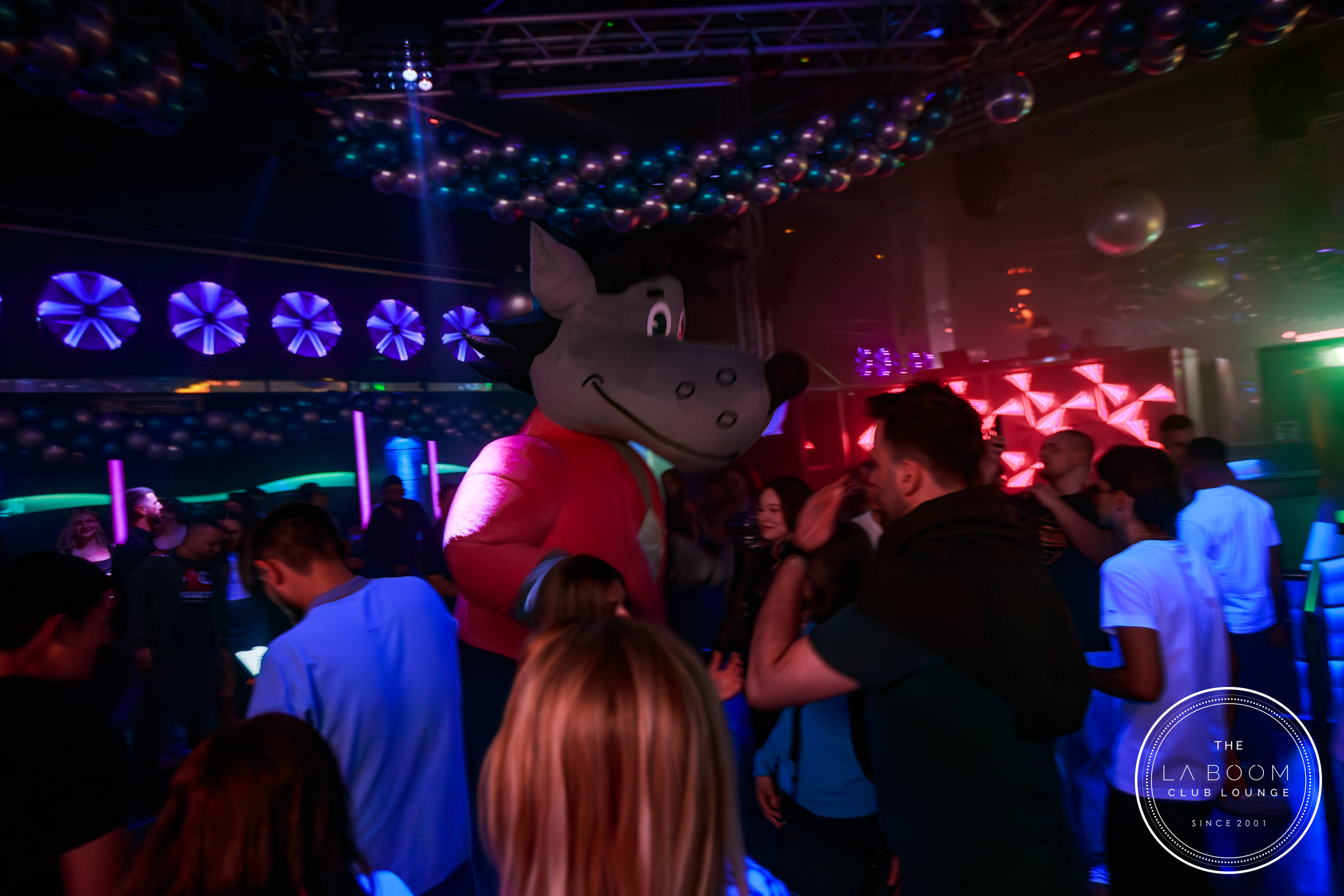 IMG 9009 Verbessert RR