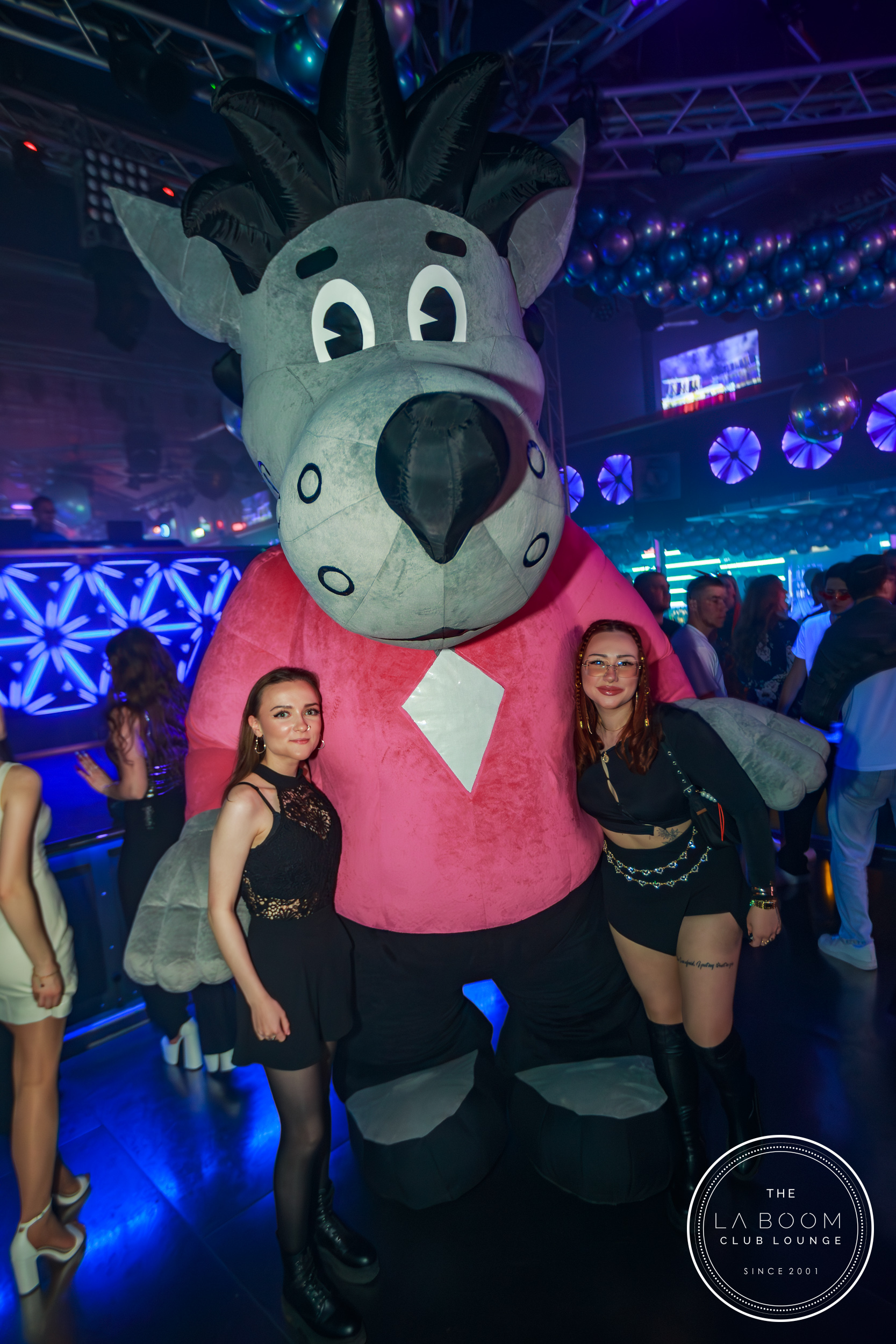 IMG 9039 Verbessert RR