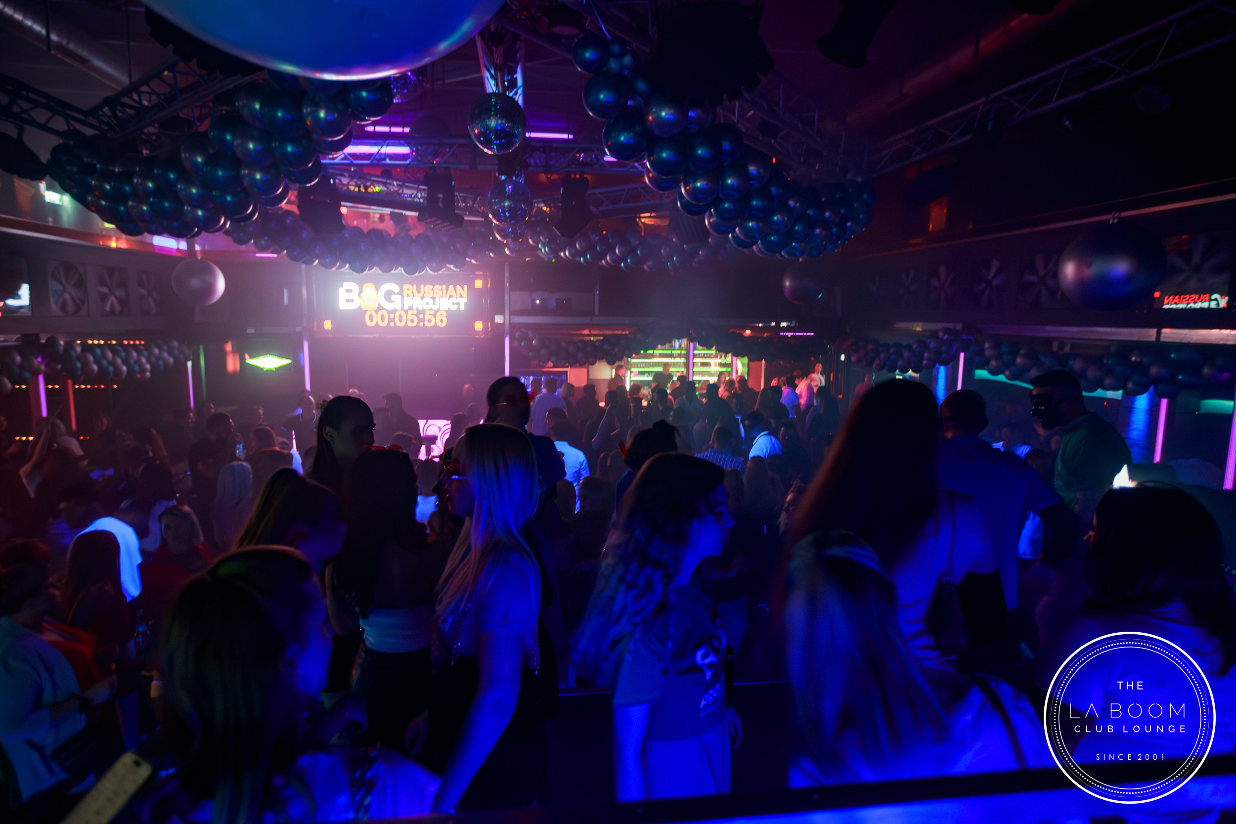 IMG 9056 Verbessert RR