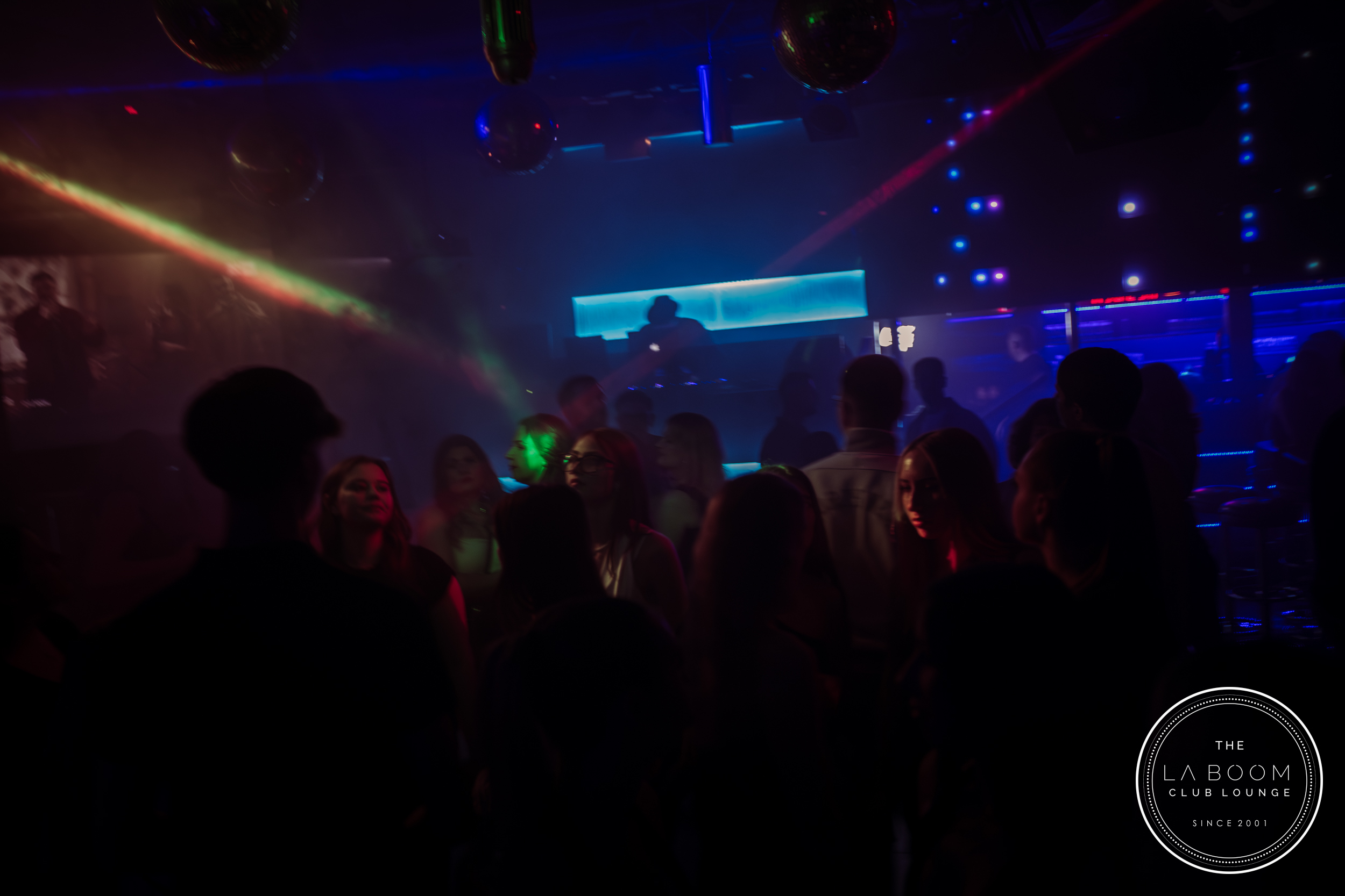 IMG 9319 Verbessert RR