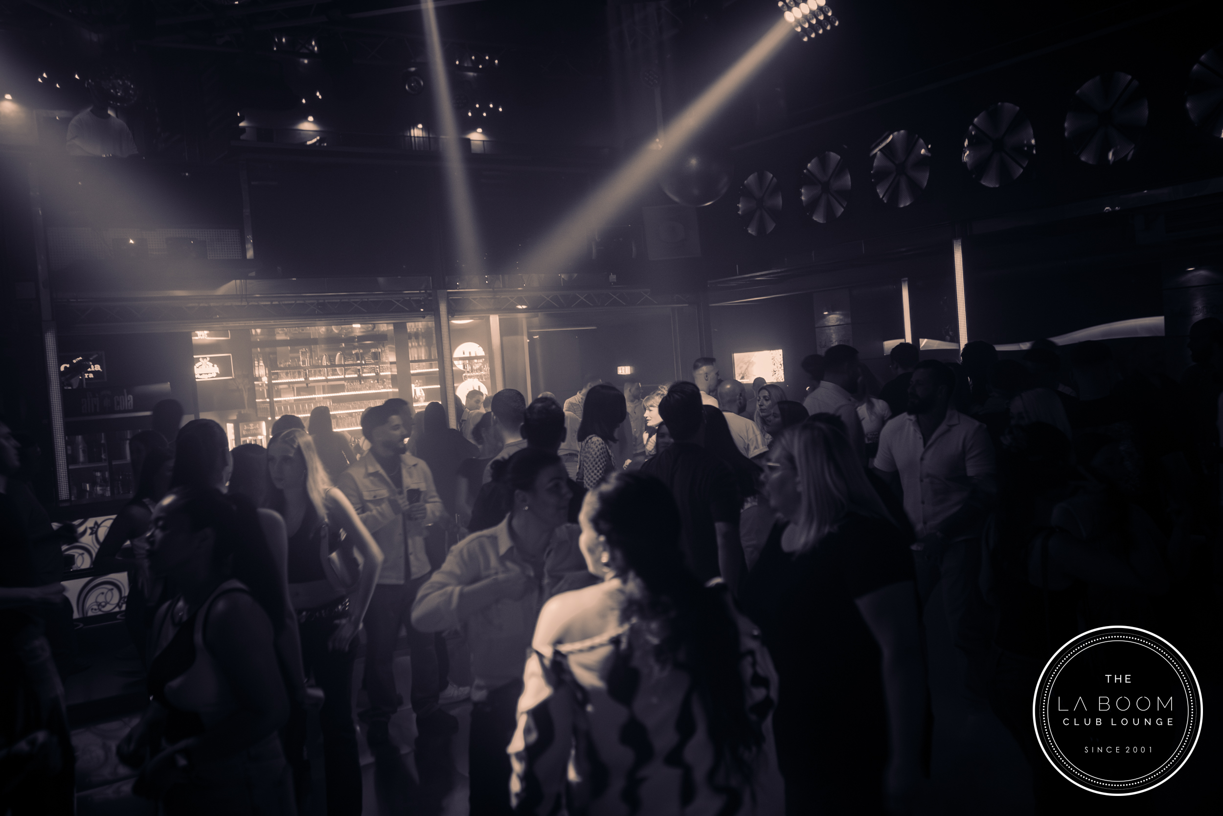 IMG 9321 Verbessert RR