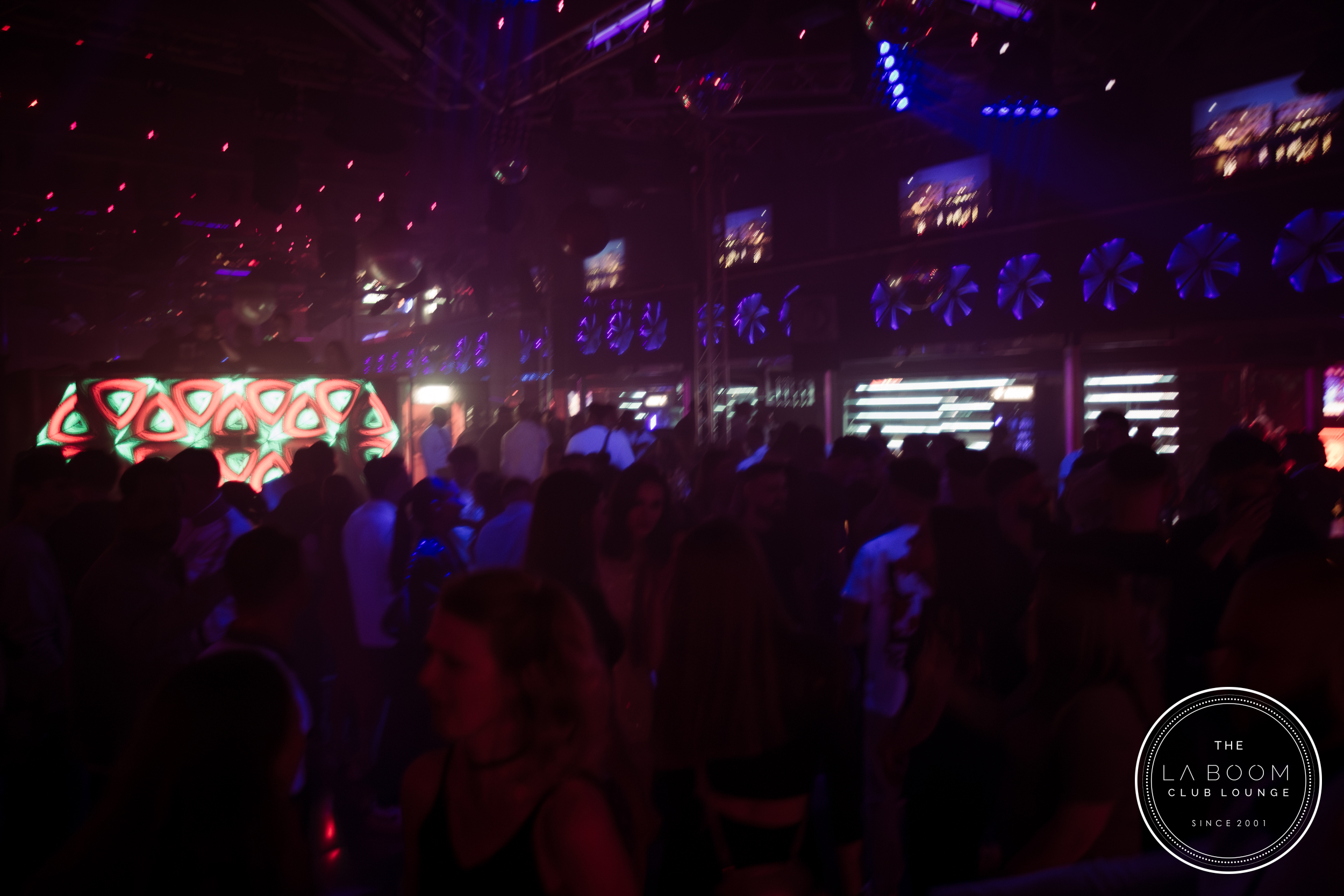 IMG 9335 Verbessert RR