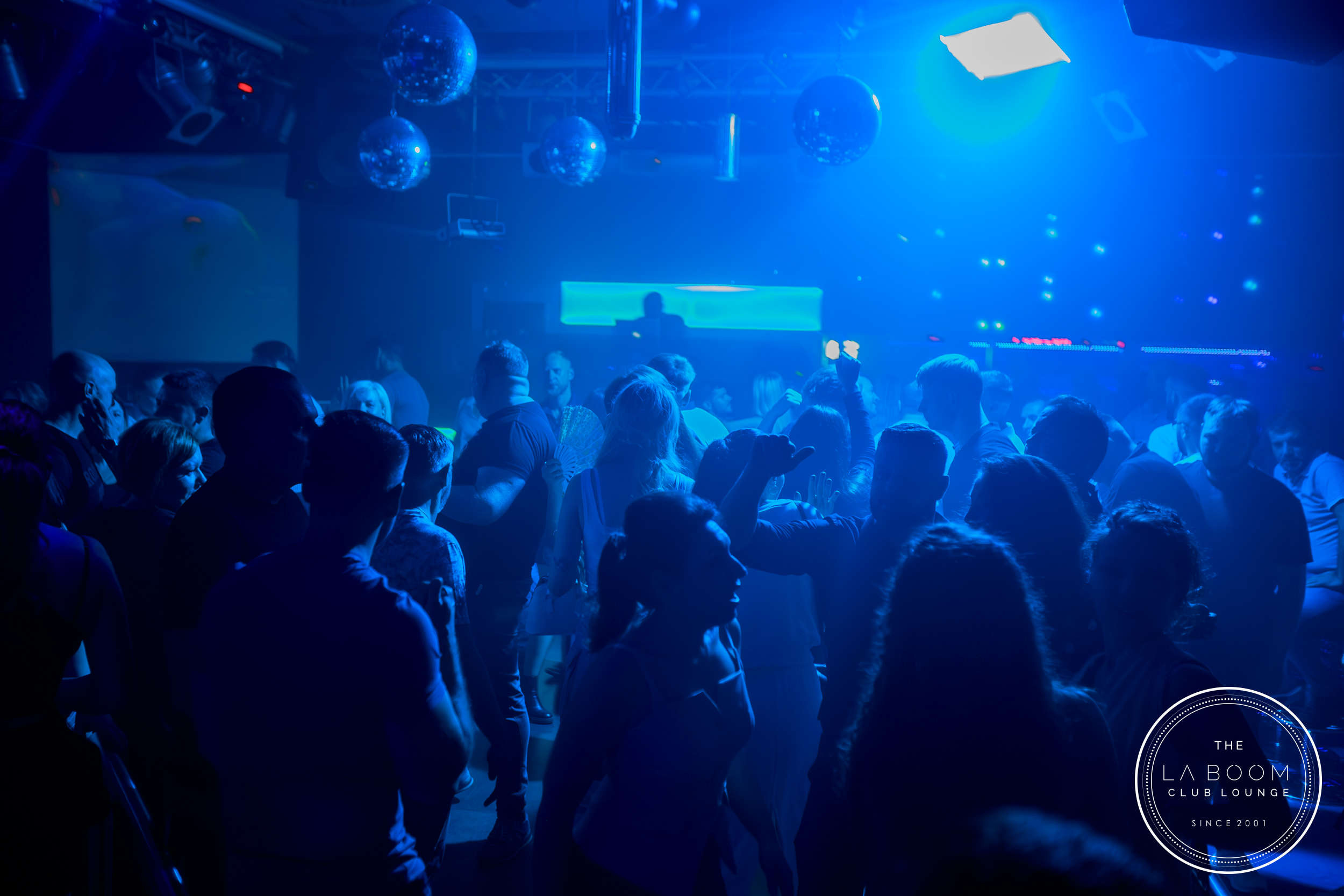 IMG 9357 Verbessert RR