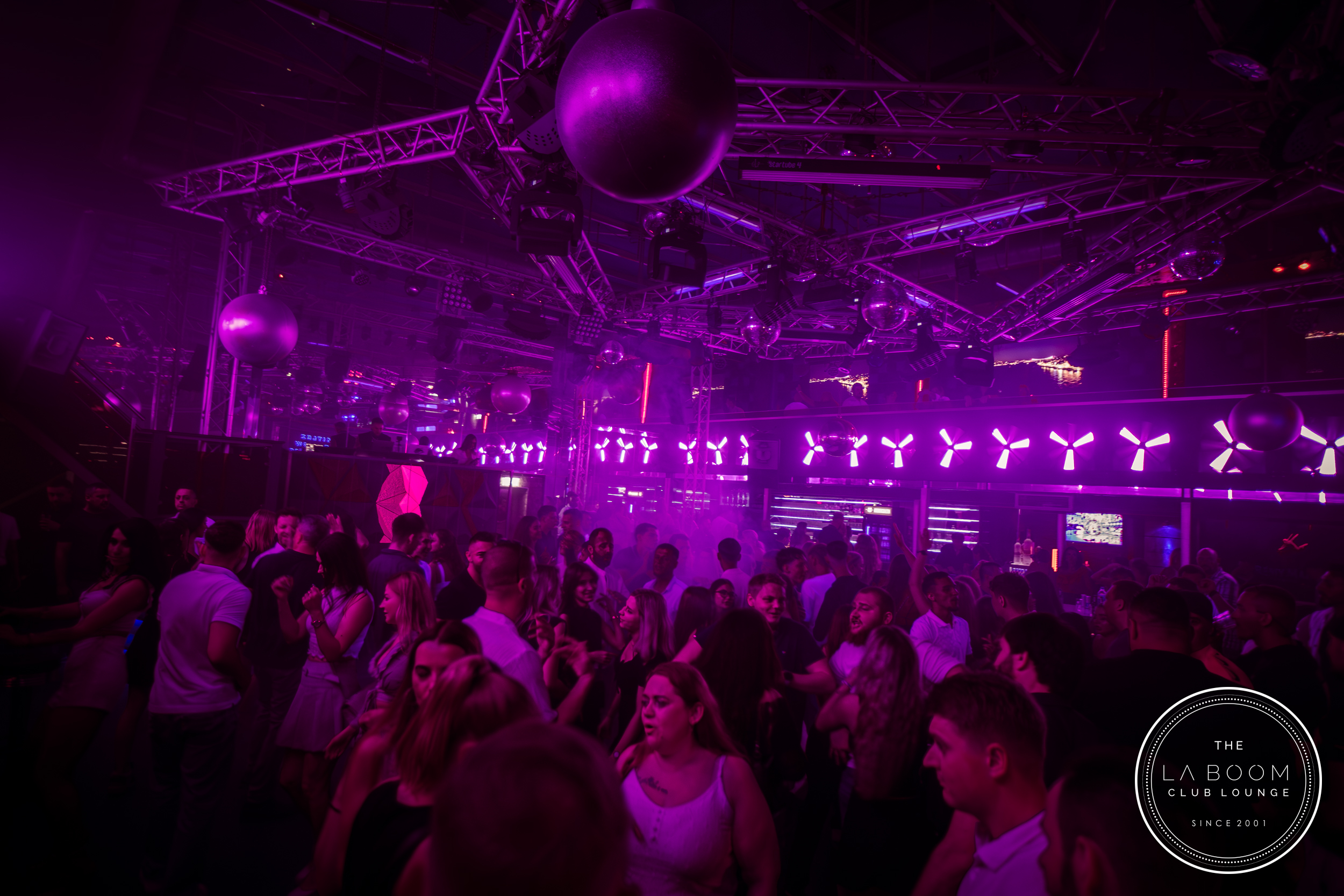 IMG 9420 Verbessert RR