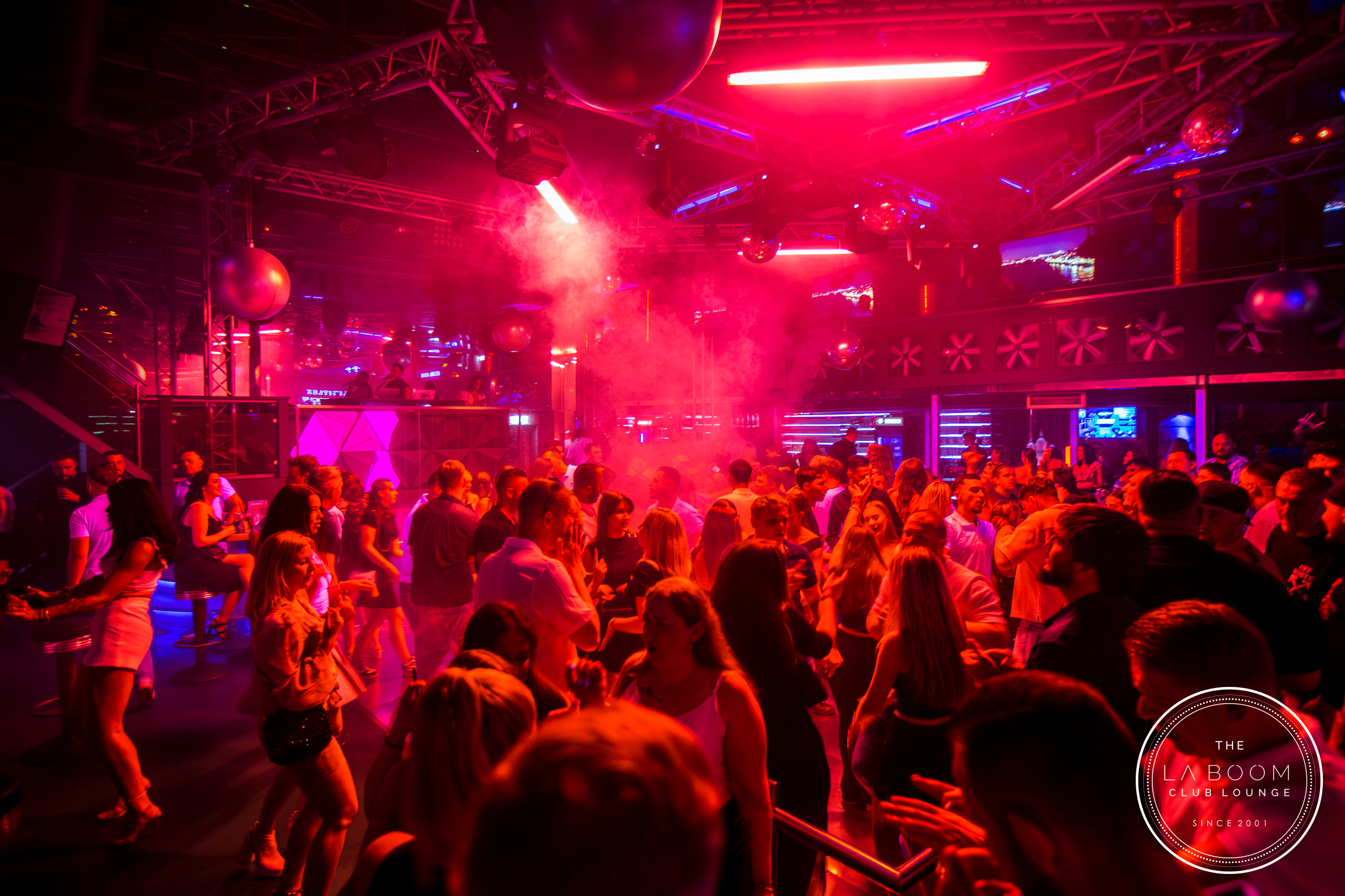 IMG 9422 Verbessert RR