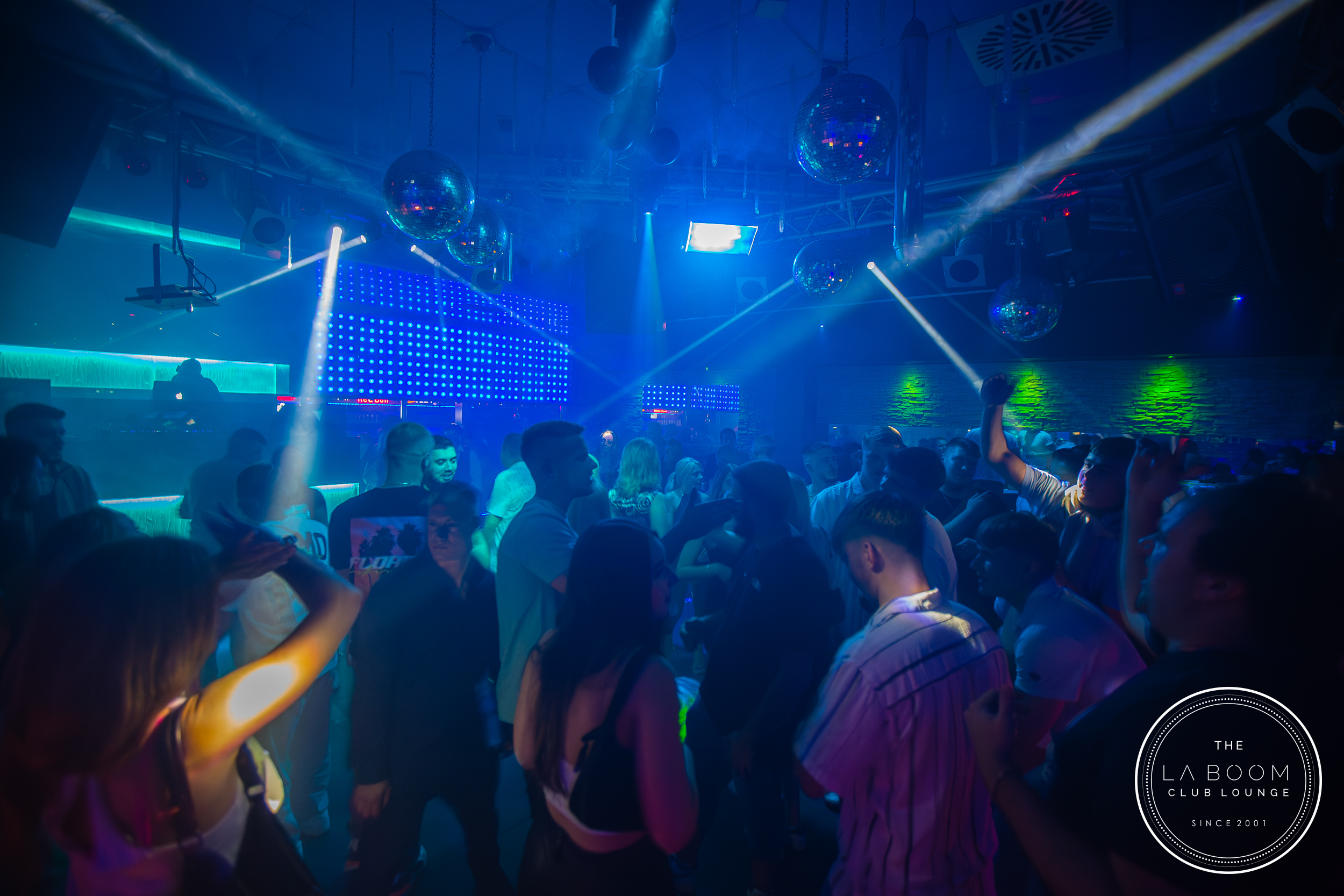 IMG 9974 Verbessert RR