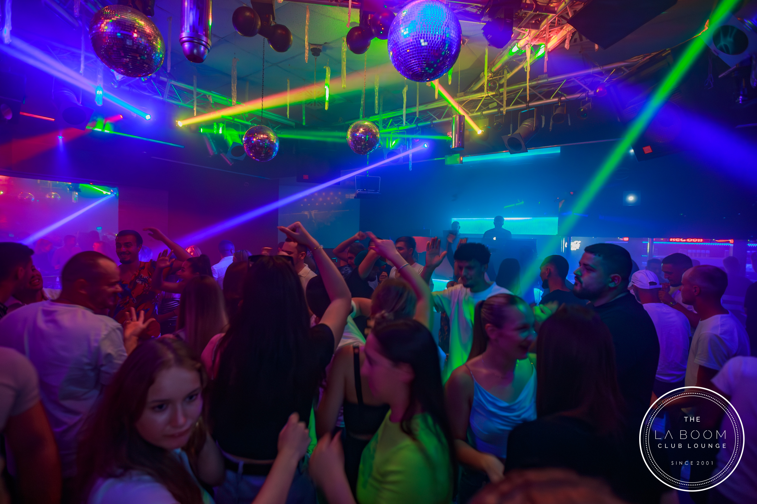 IMG 1078 Verbessert RR