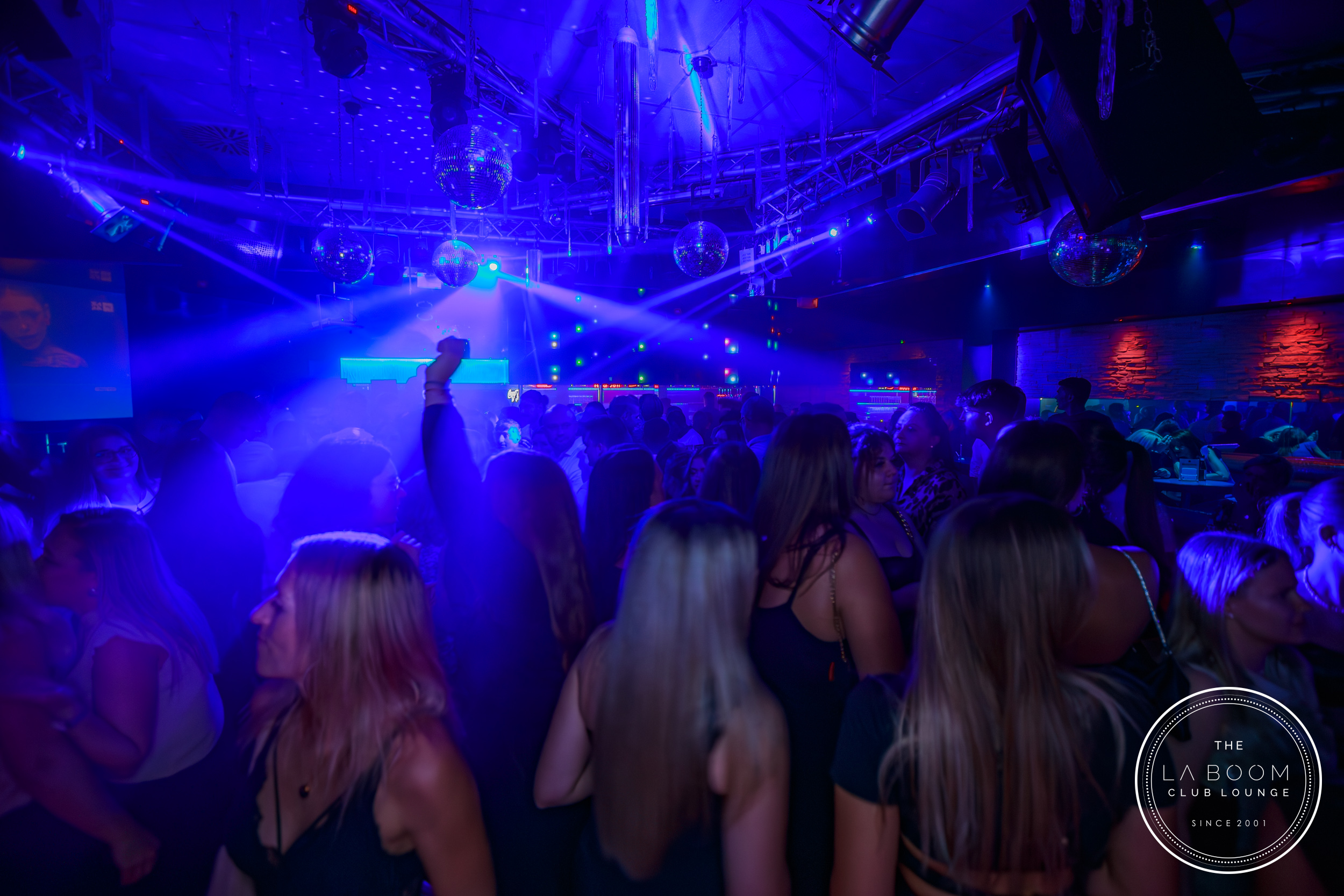 IMG 1530 Verbessert RR