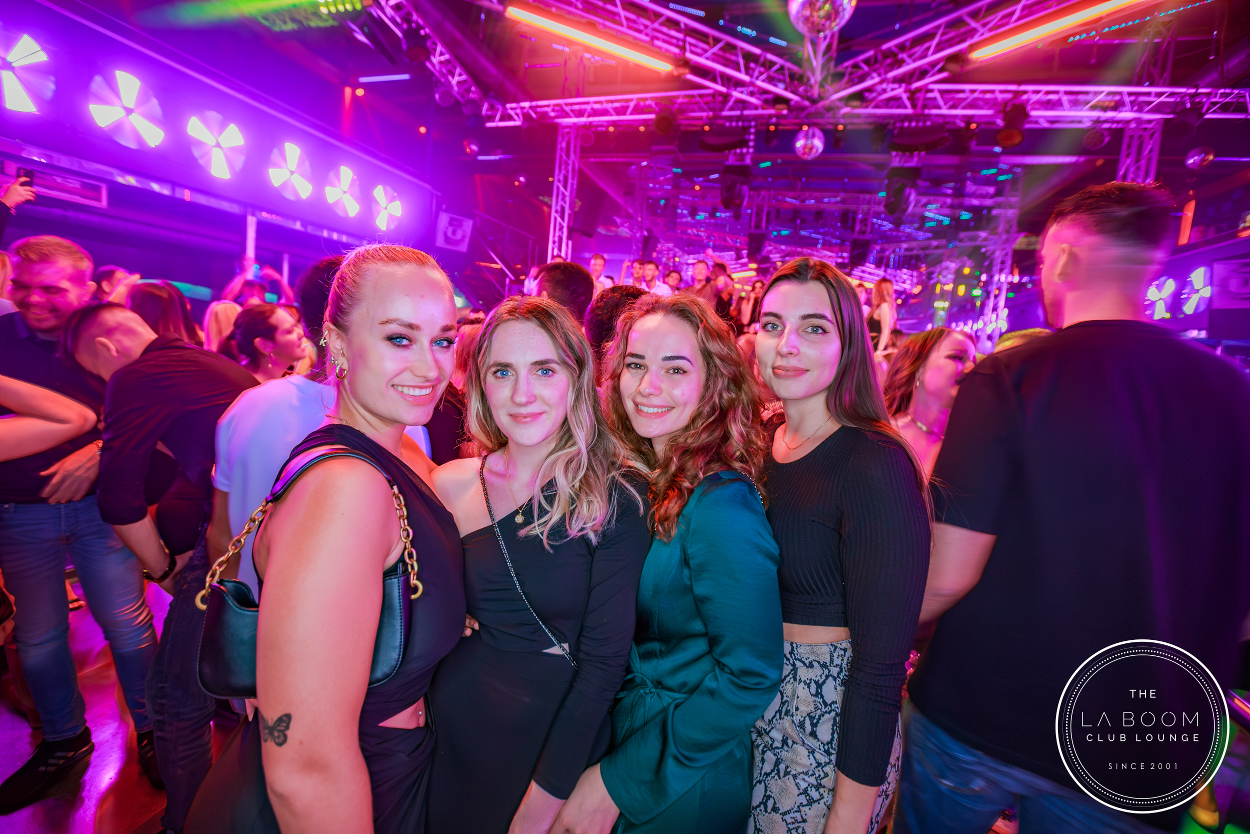 IMG 1632 Verbessert RR