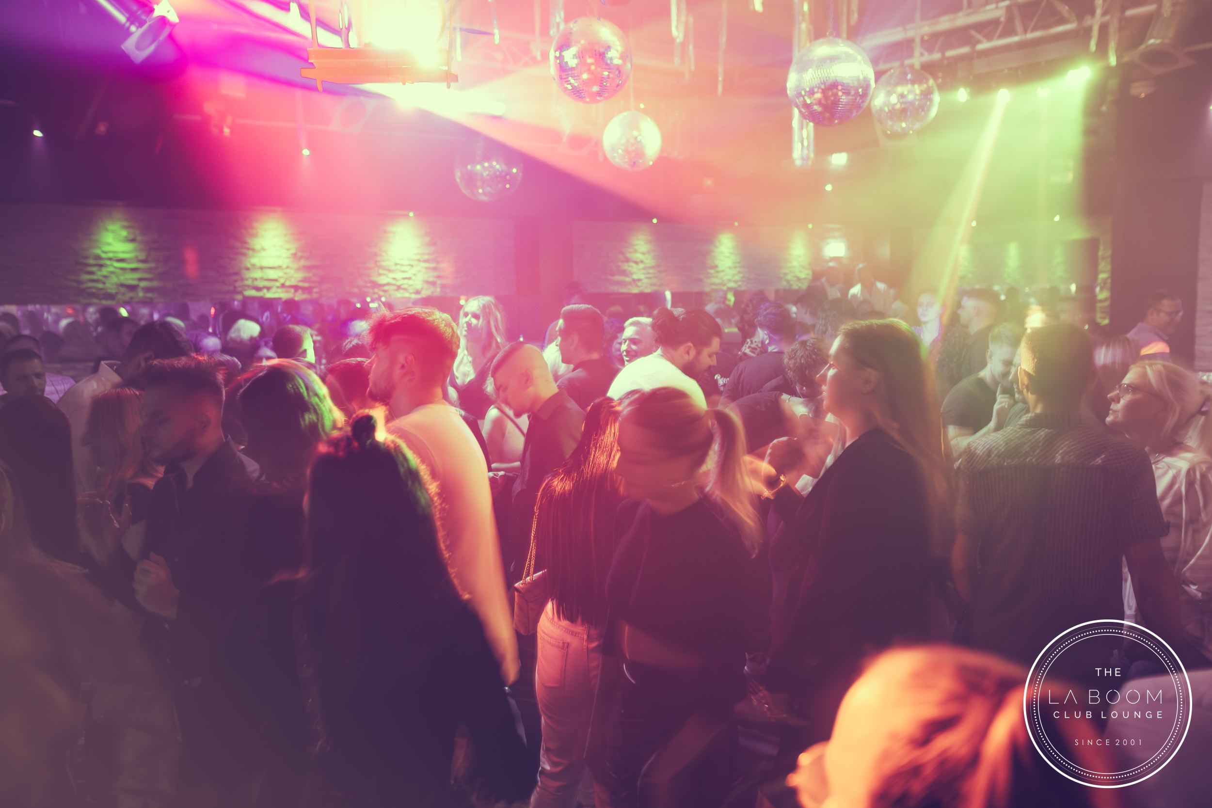 IMG 1651 Verbessert RR