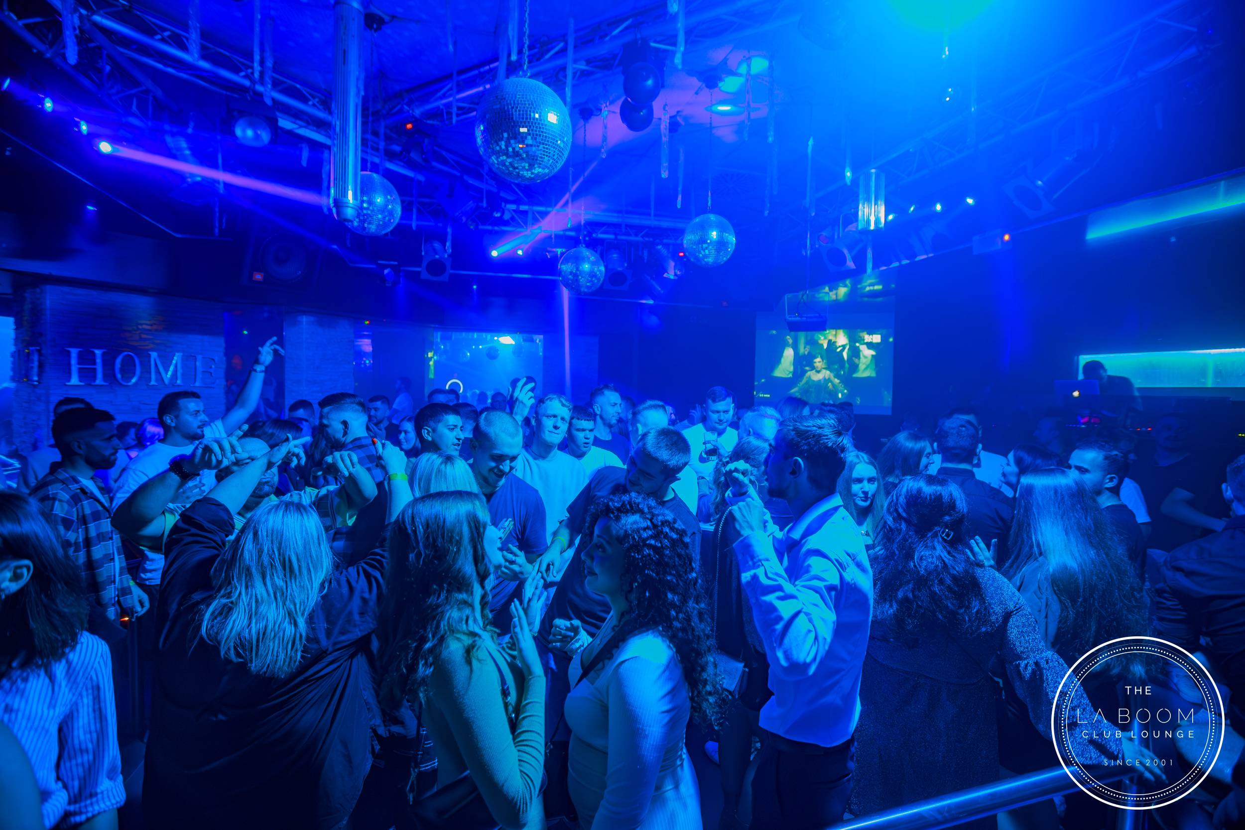 IMG 1806 Verbessert RR