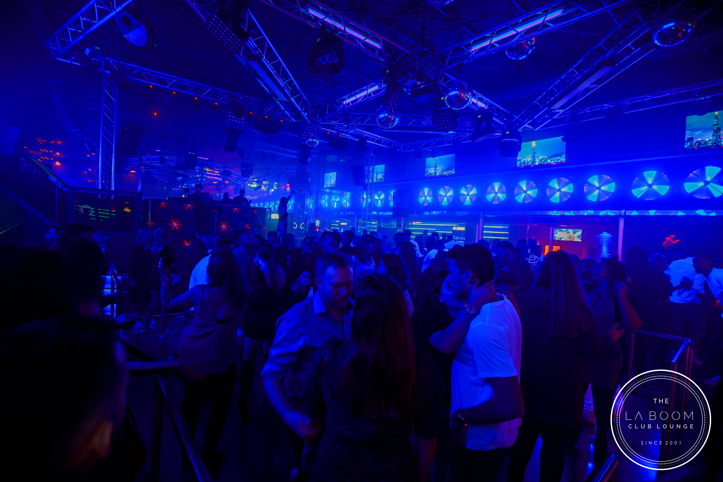 IMG 2380 Verbessert RR