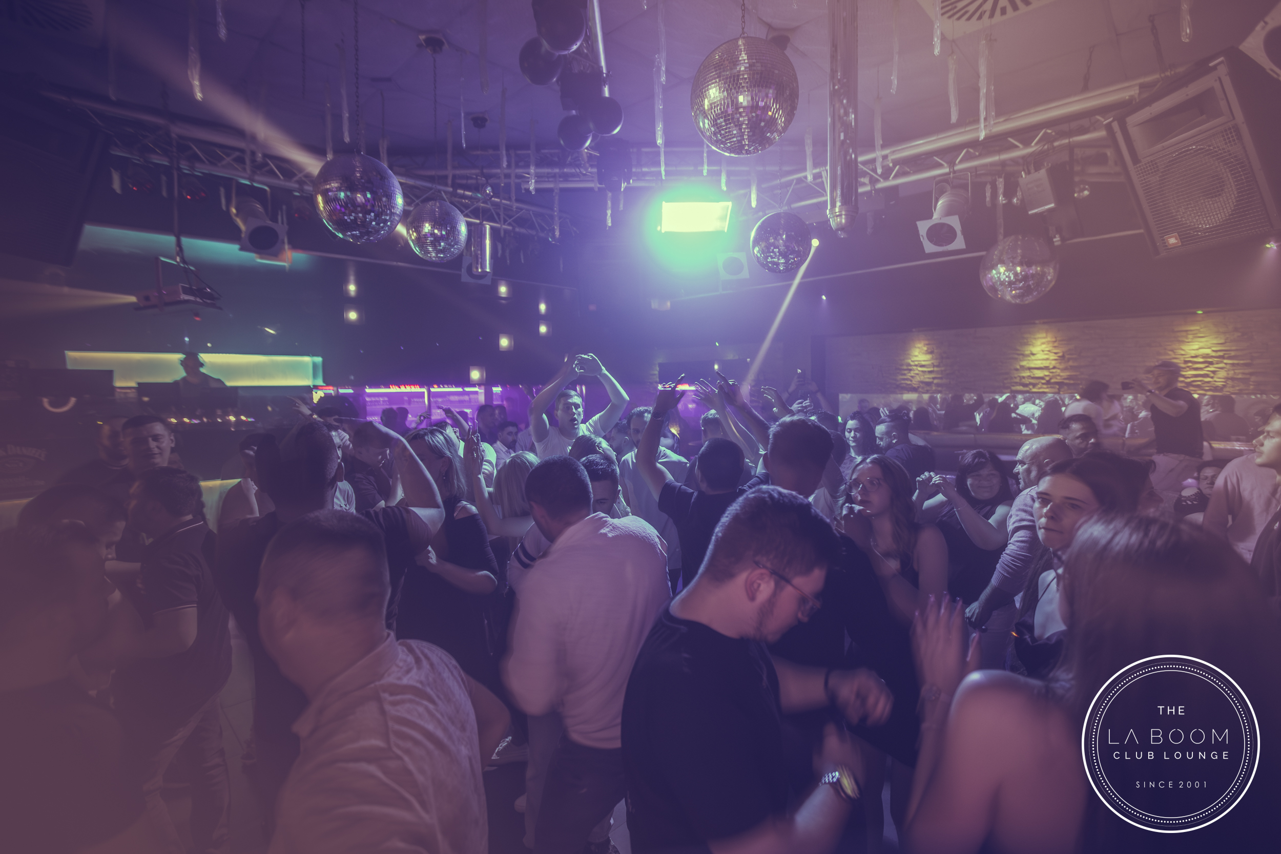 IMG 4576 Verbessert RR