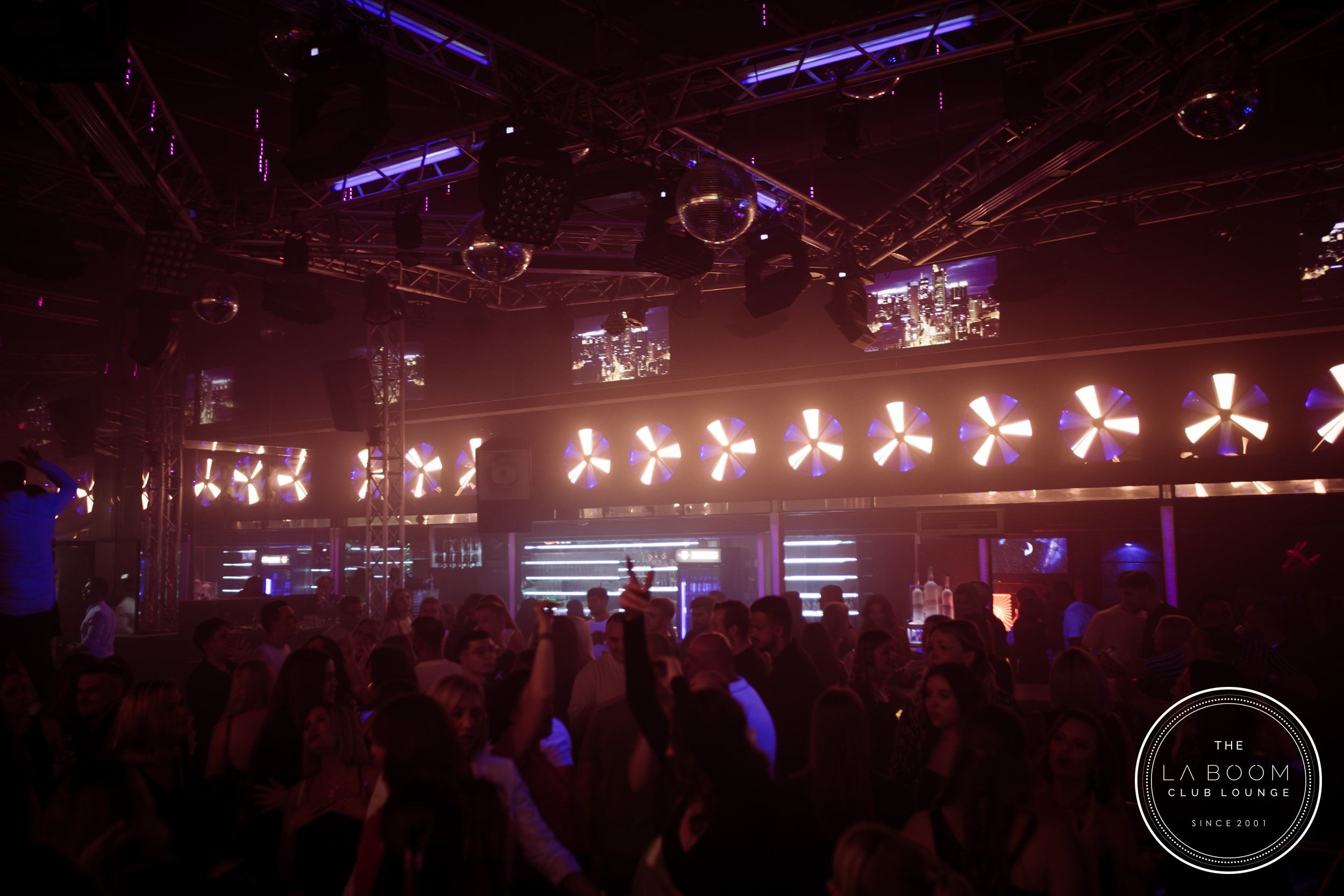 IMG 5591 Verbessert RR