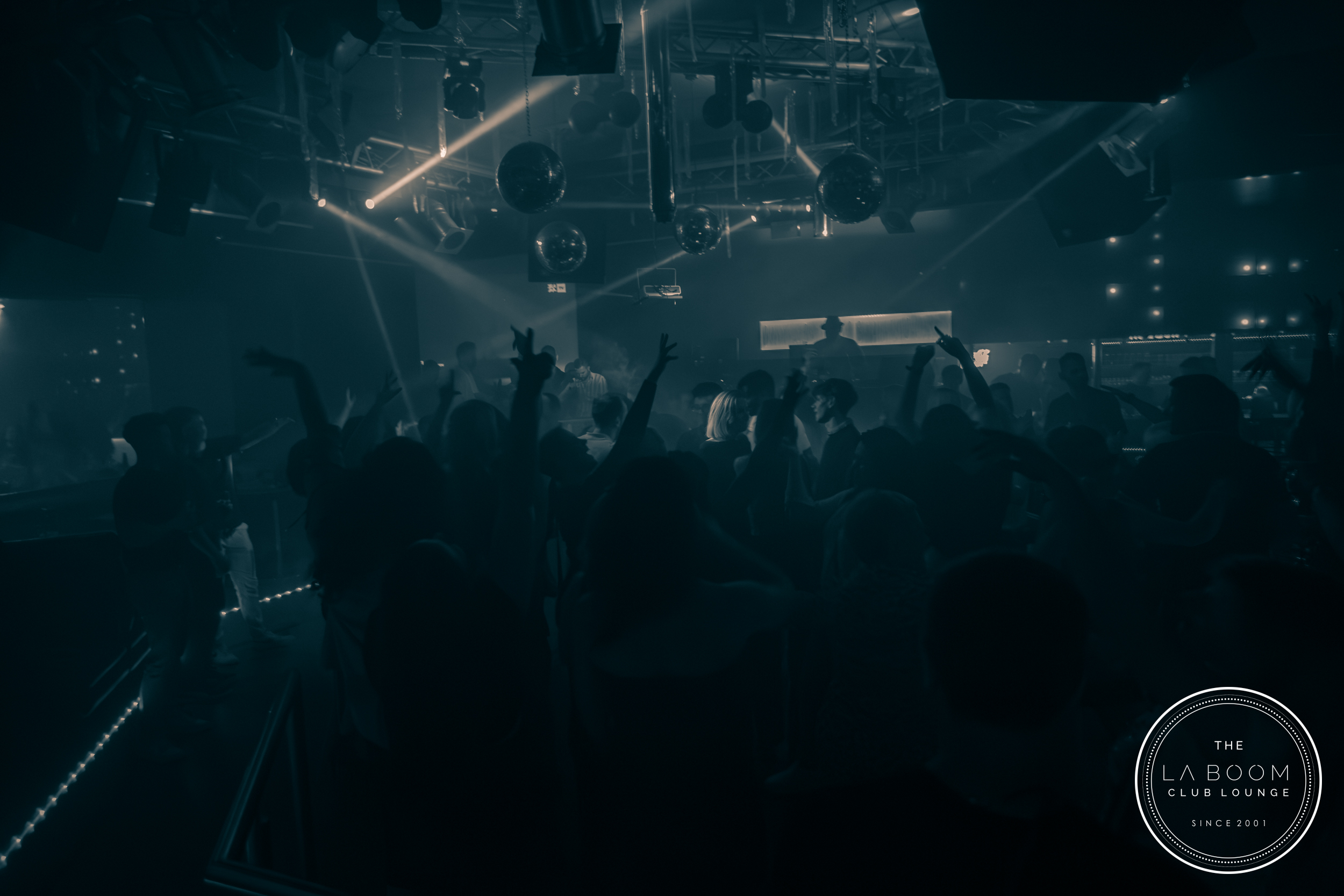 IMG 5631 Verbessert RR