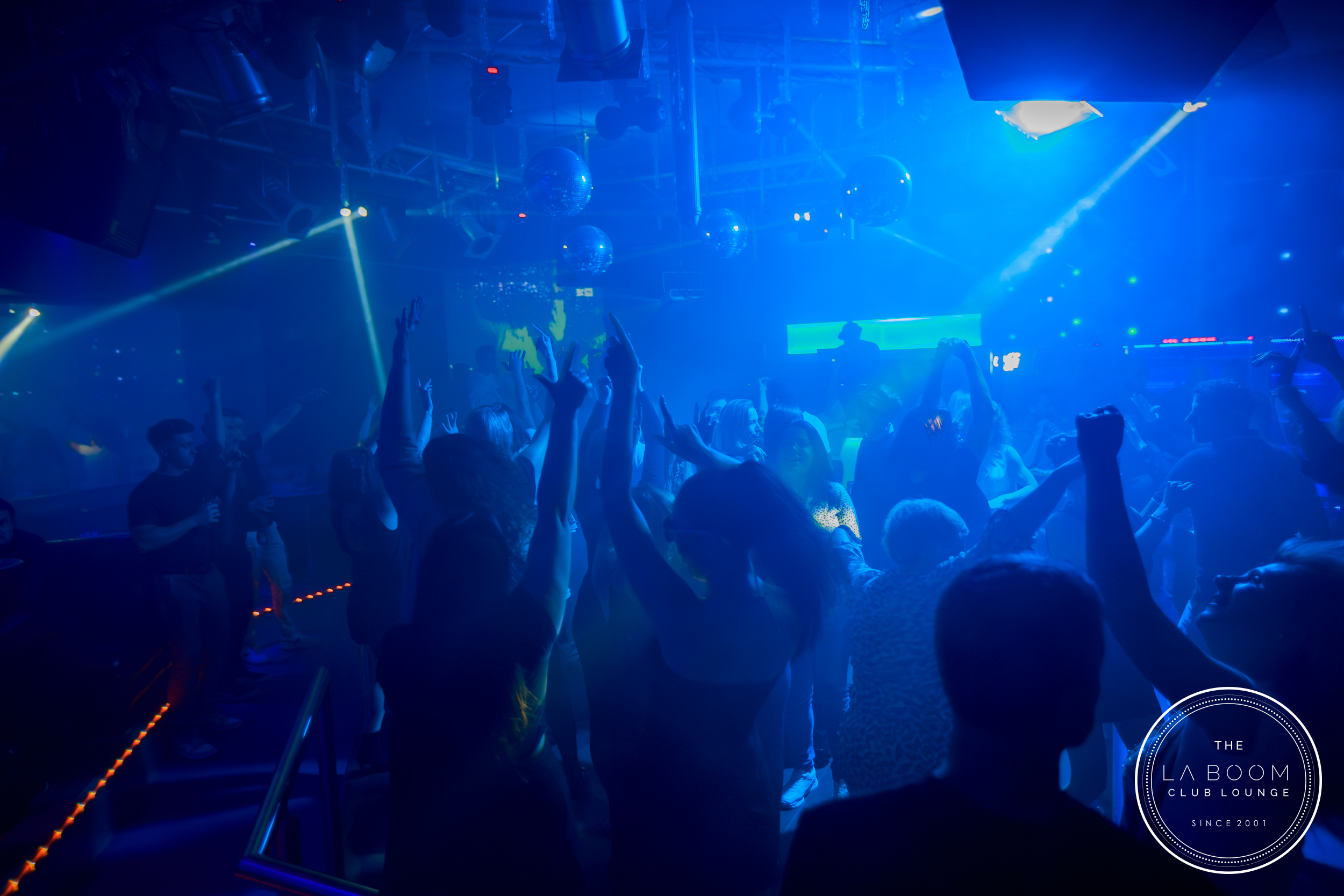 IMG 5632 Verbessert RR