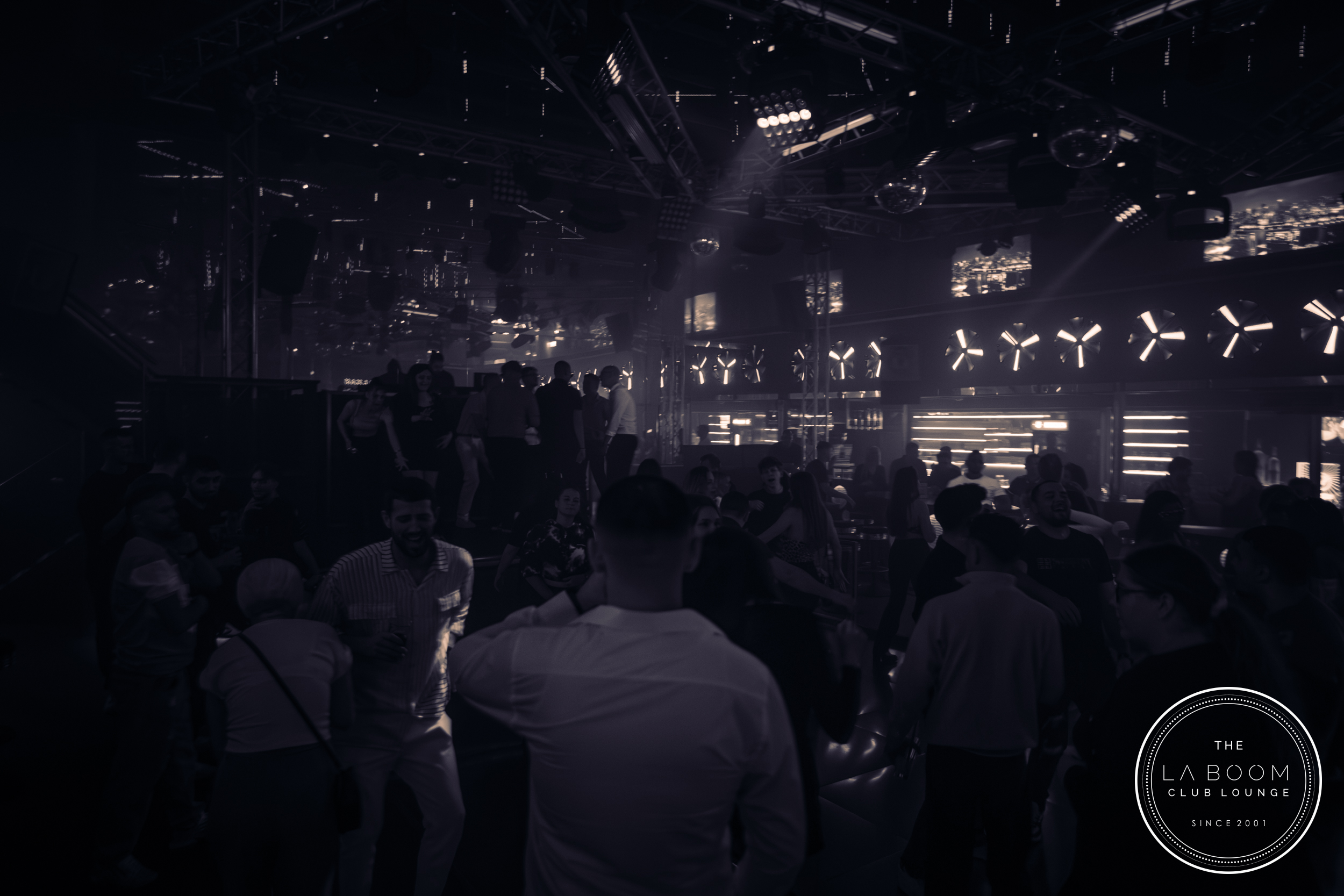 IMG 5652 Verbessert RR