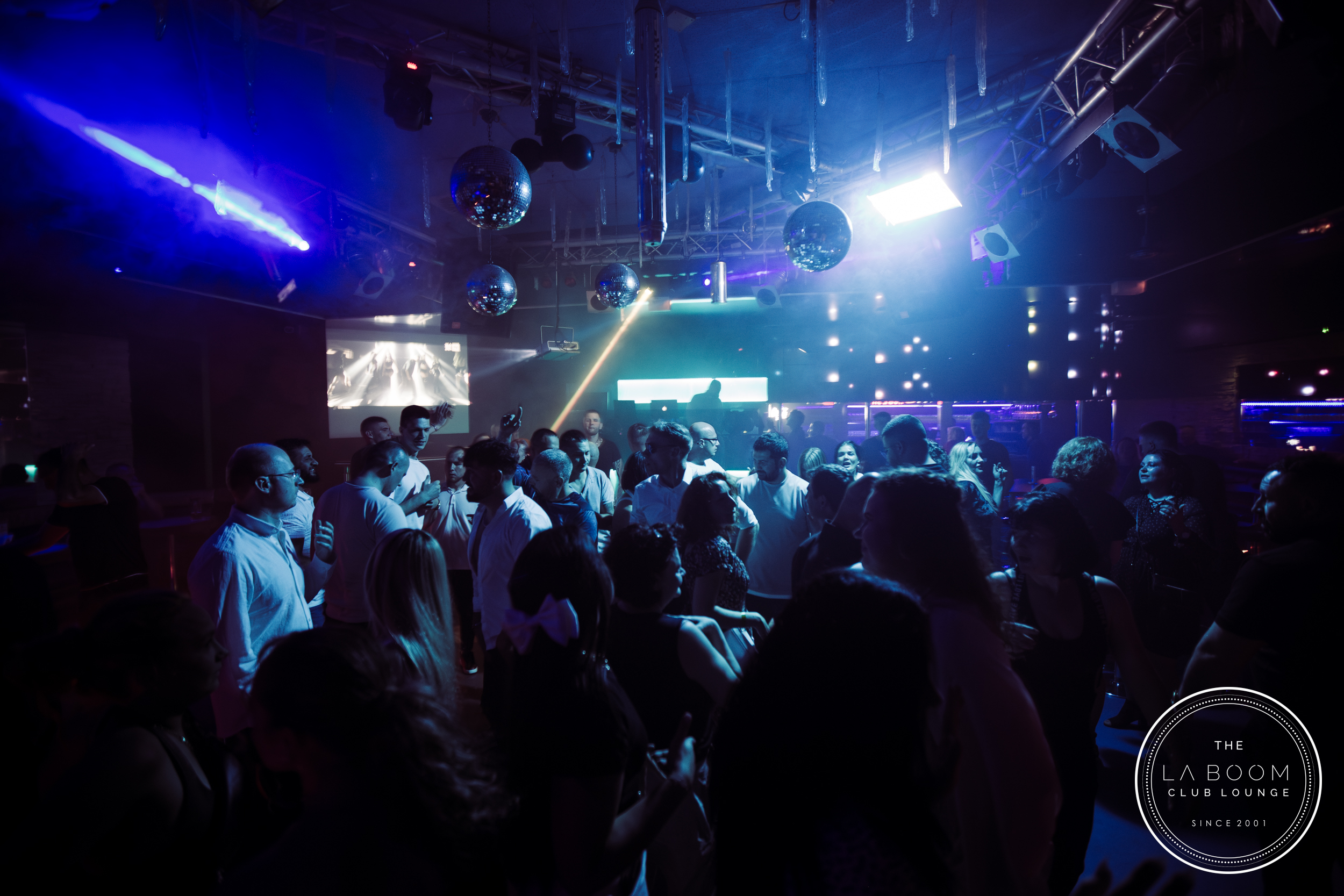 IMG 5695 Verbessert RR