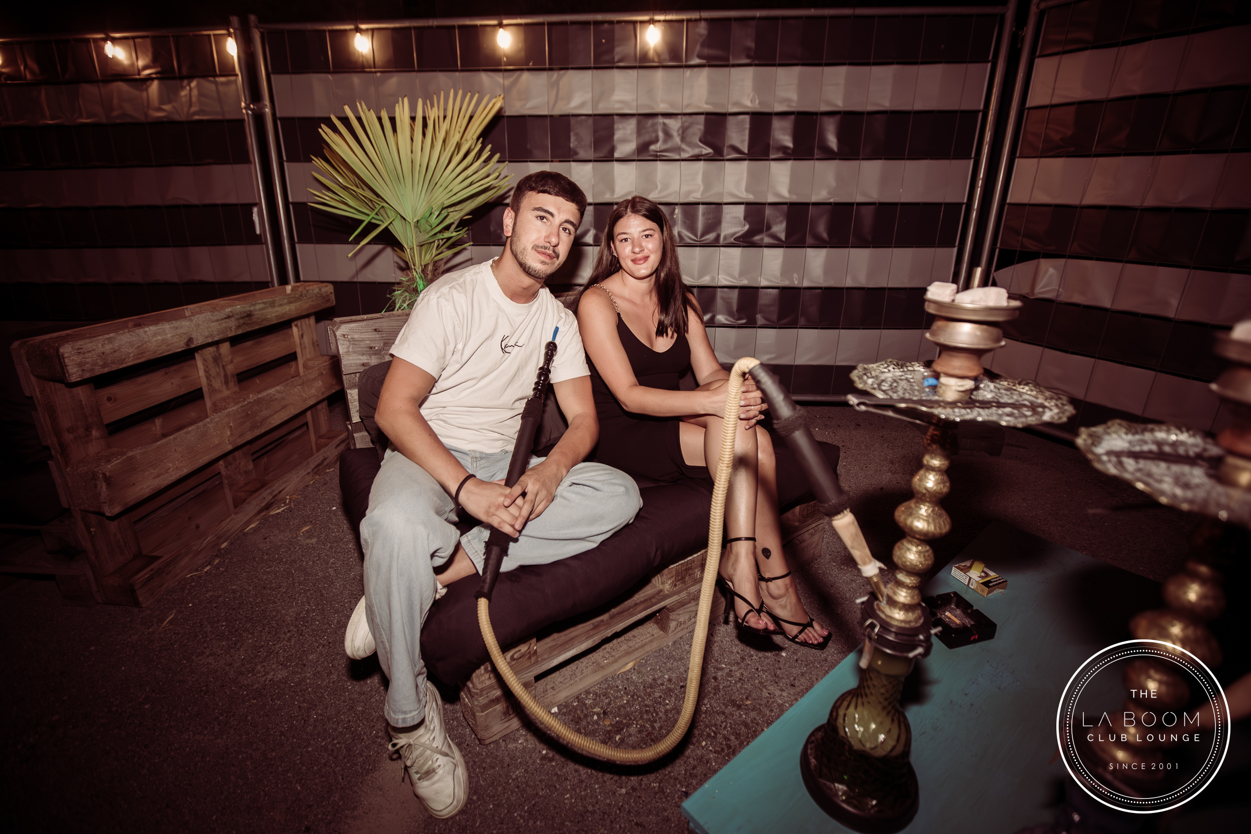 IMG 5775 Verbessert RR