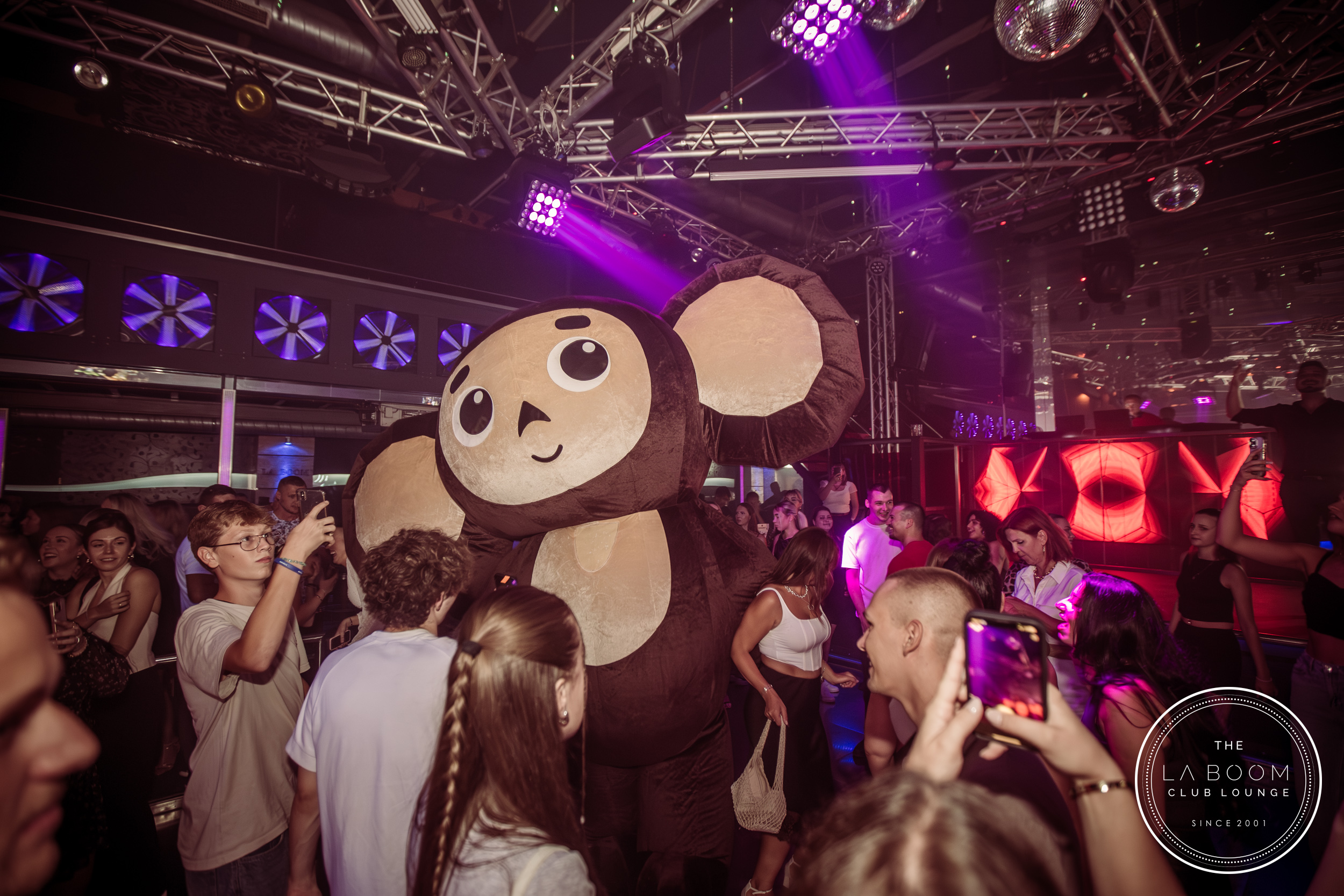 IMG 6032 Verbessert RR