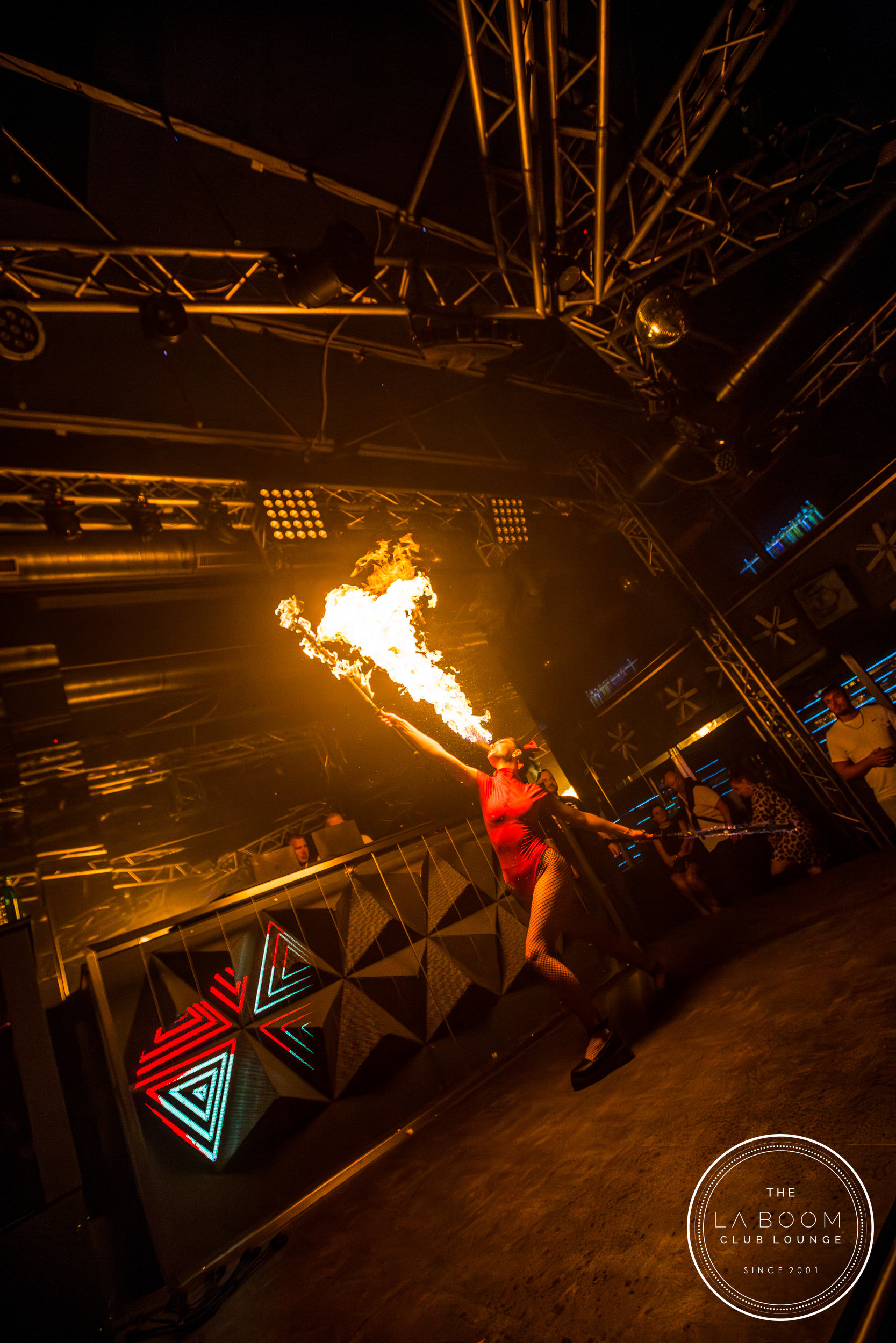 IMG 6208 Verbessert RR