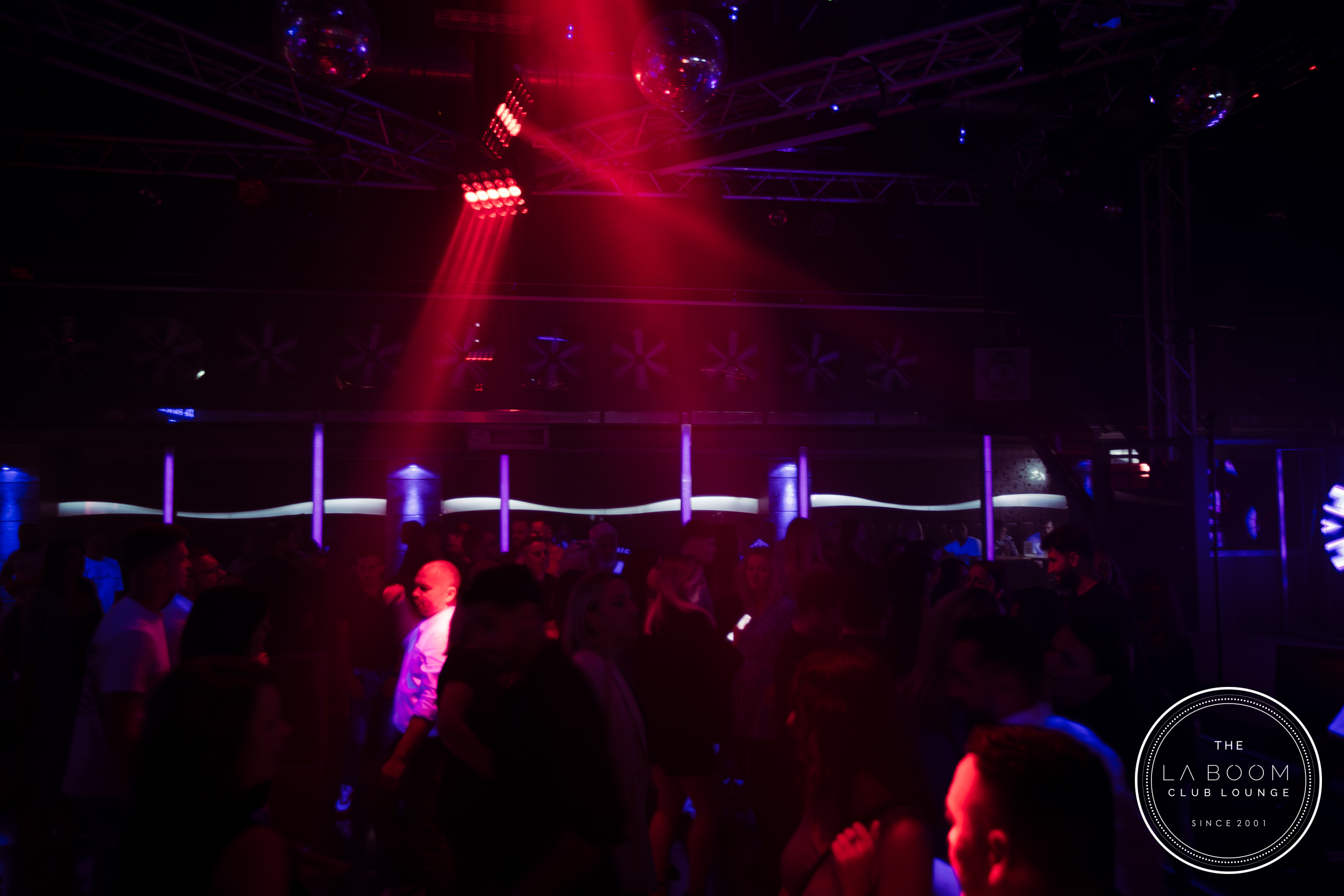 IMG 6294 Verbessert RR