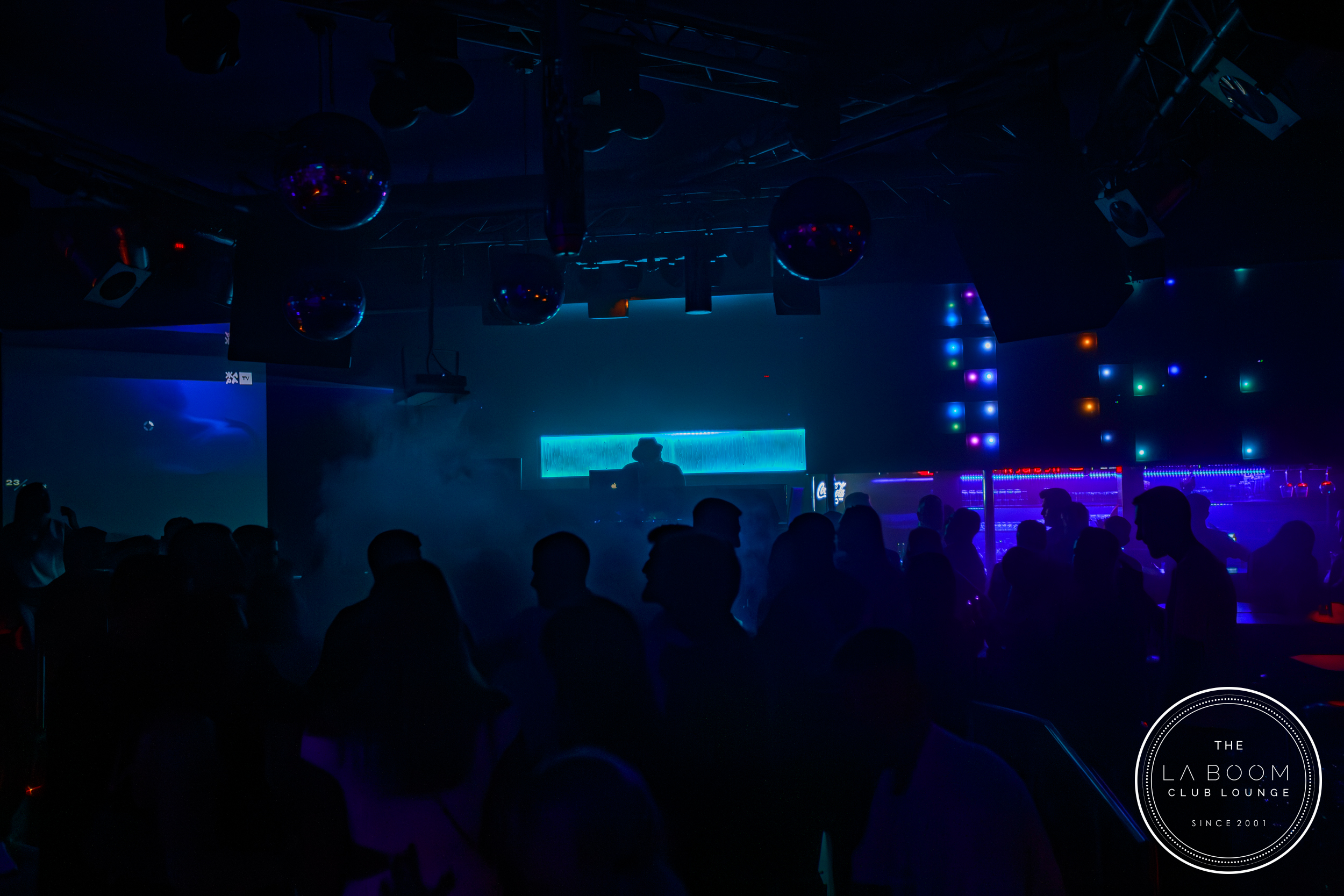 IMG 6337 Verbessert RR