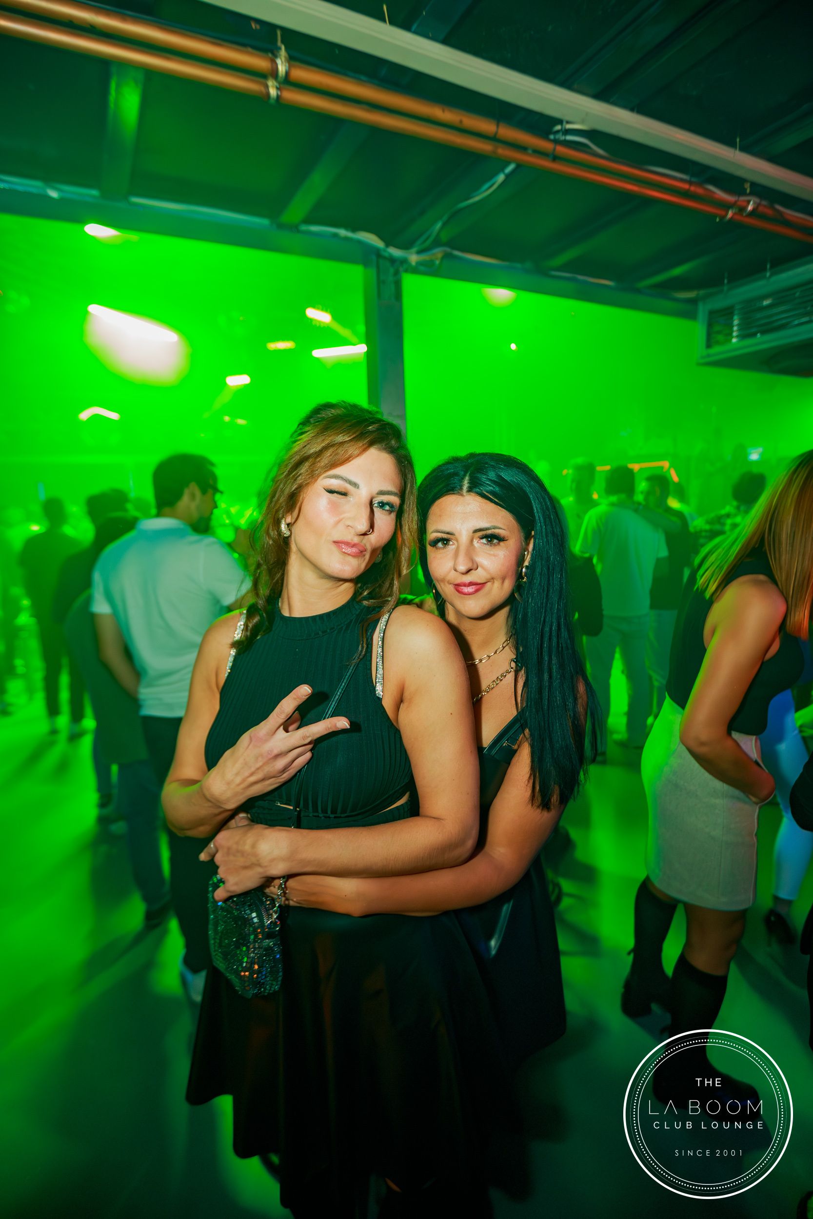 IMG 6501 Verbessert RR