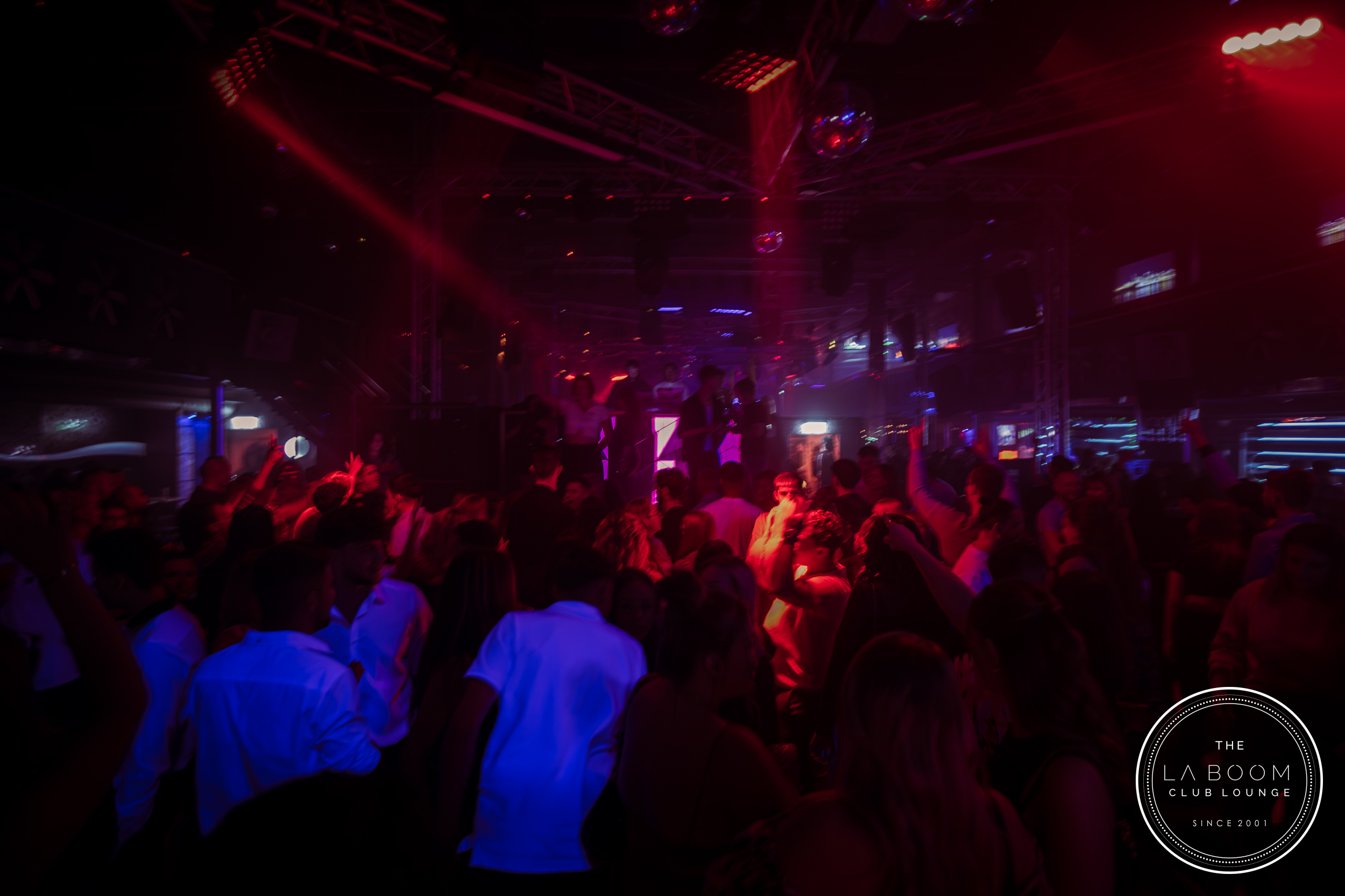 IMG 6536 Verbessert RR