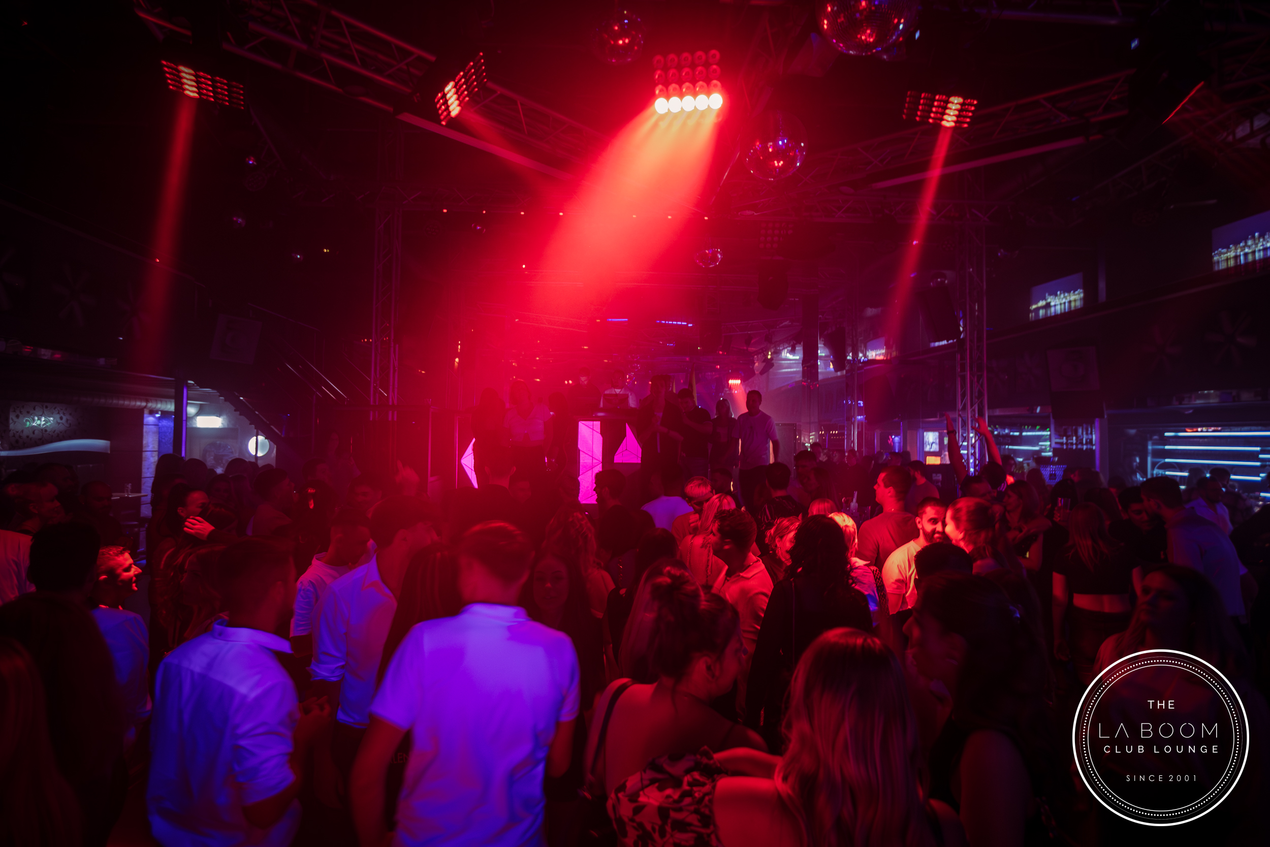 IMG 6538 Verbessert RR