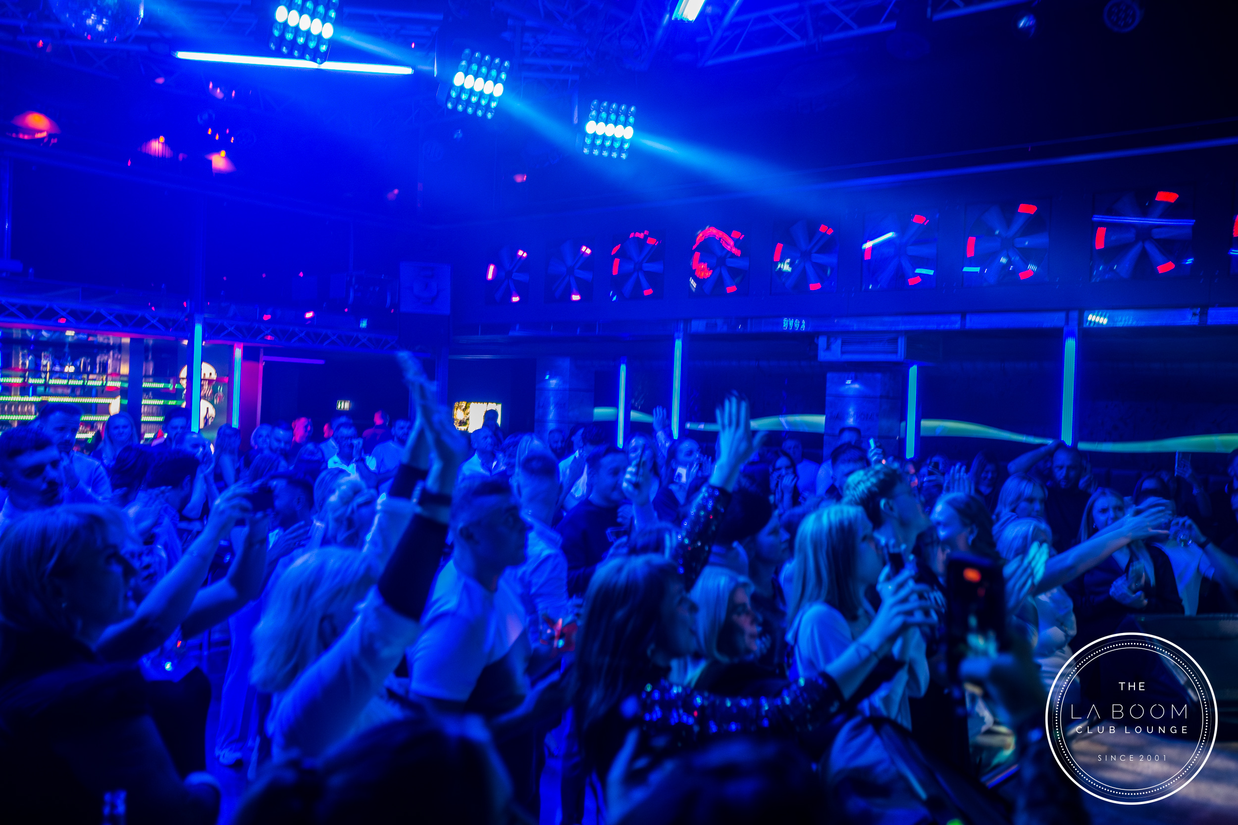 IMG 6738 Verbessert RR