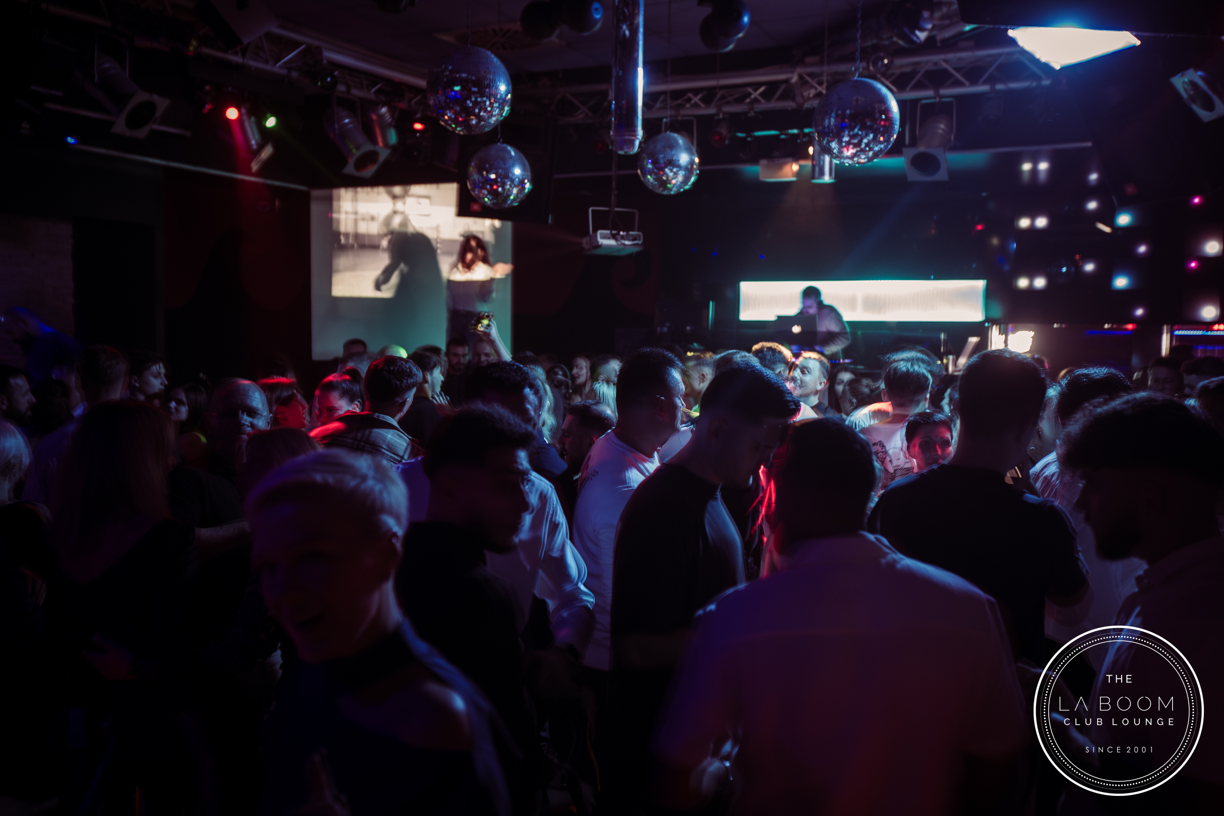 IMG 6940 Verbessert RR