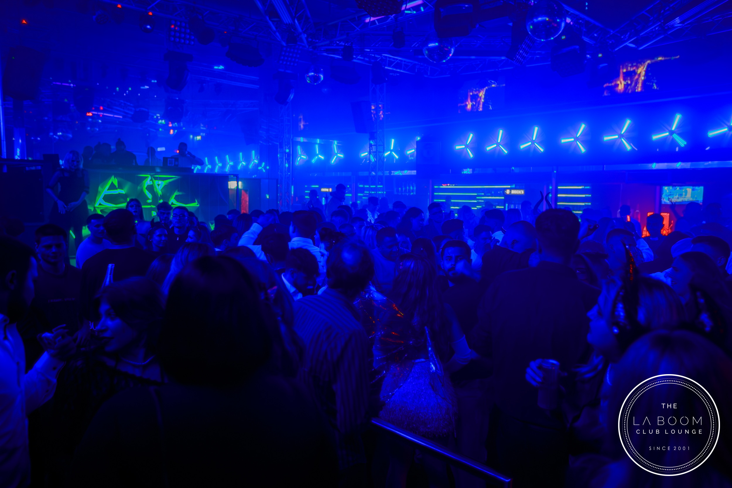 IMG 7036 Verbessert RR