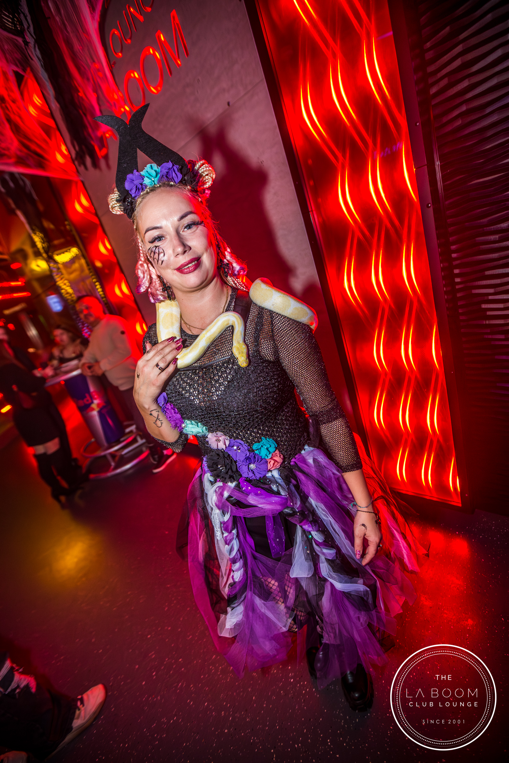 IMG 7100 Verbessert RR