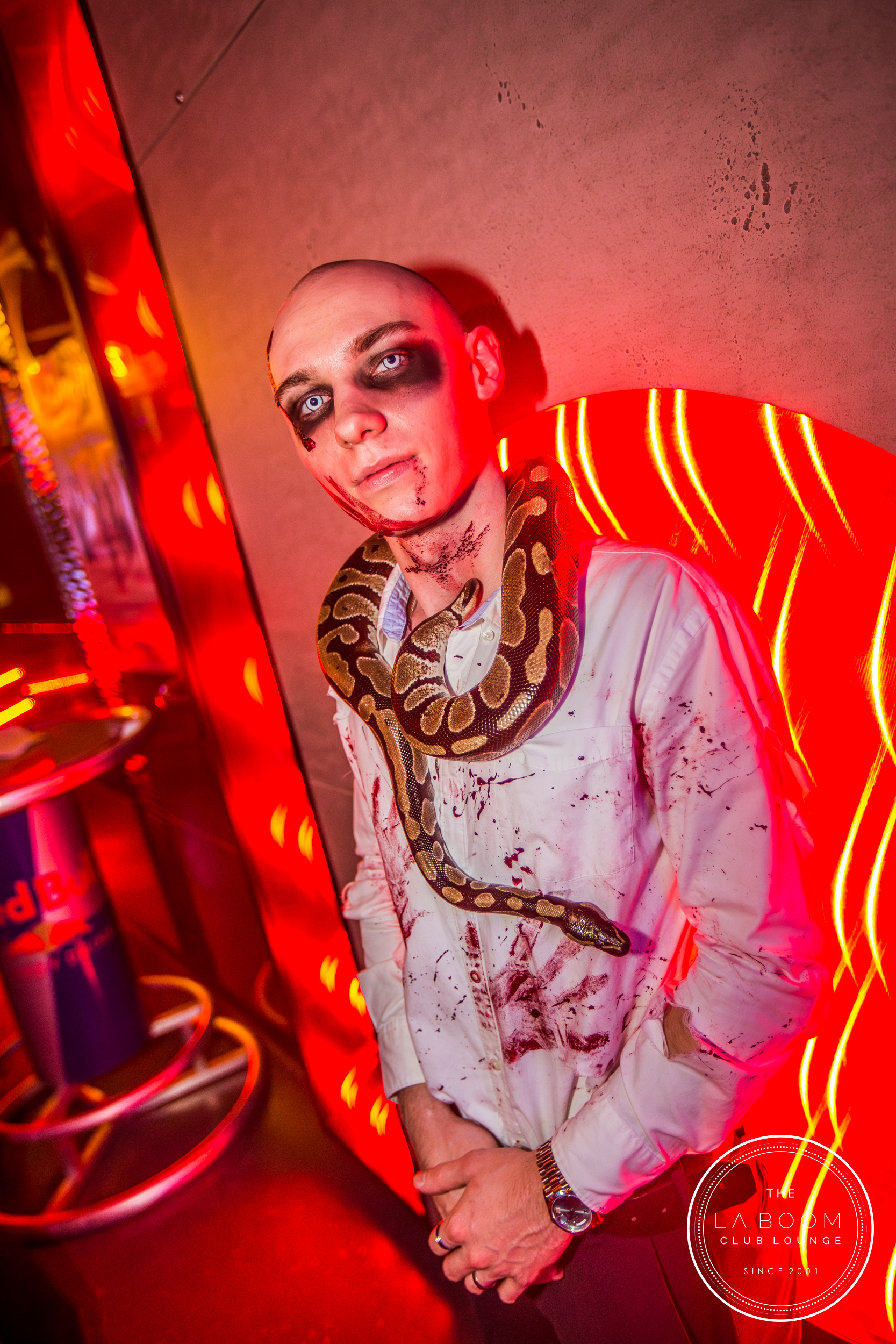 IMG 7106 Verbessert RR