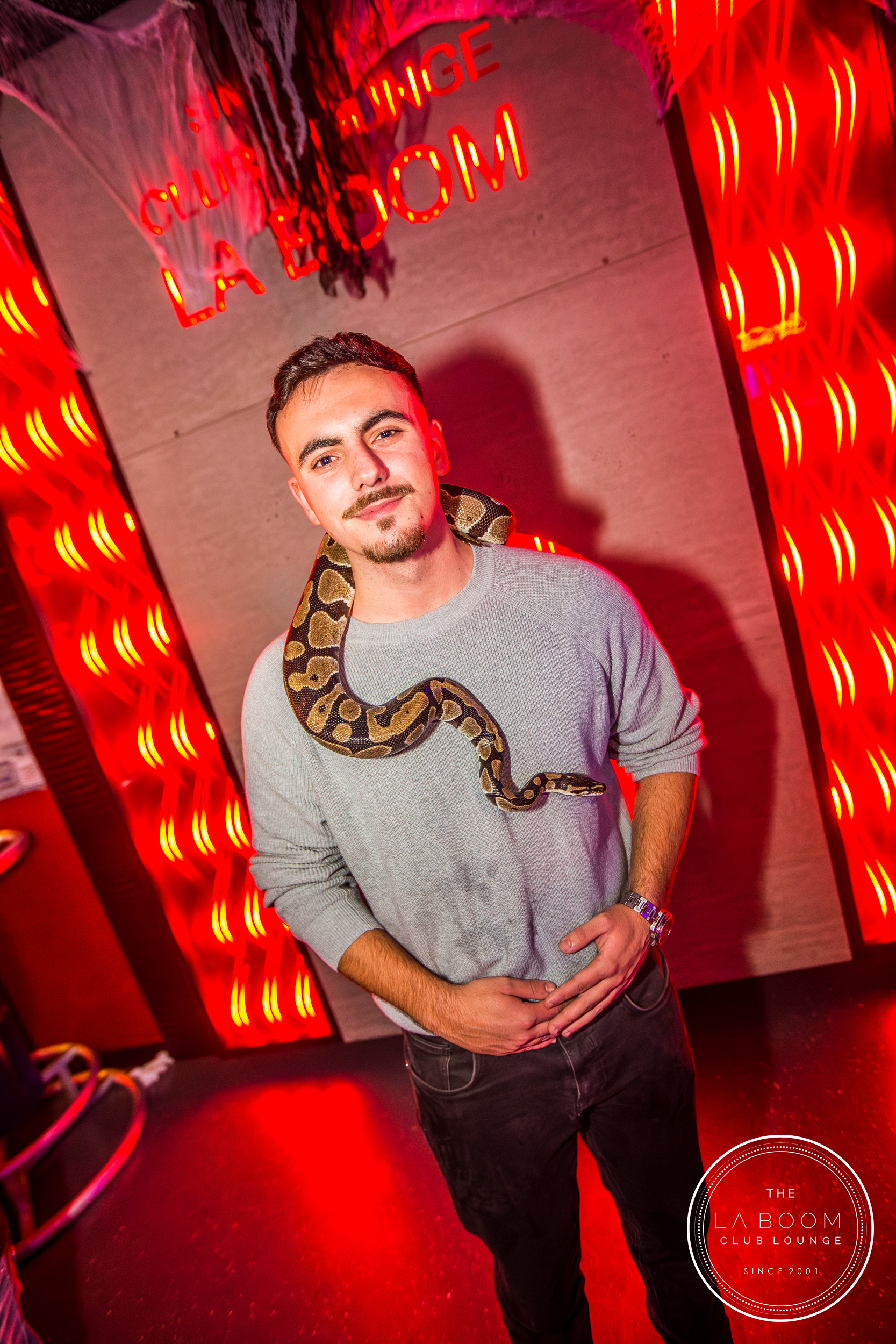 IMG 7110 Verbessert RR