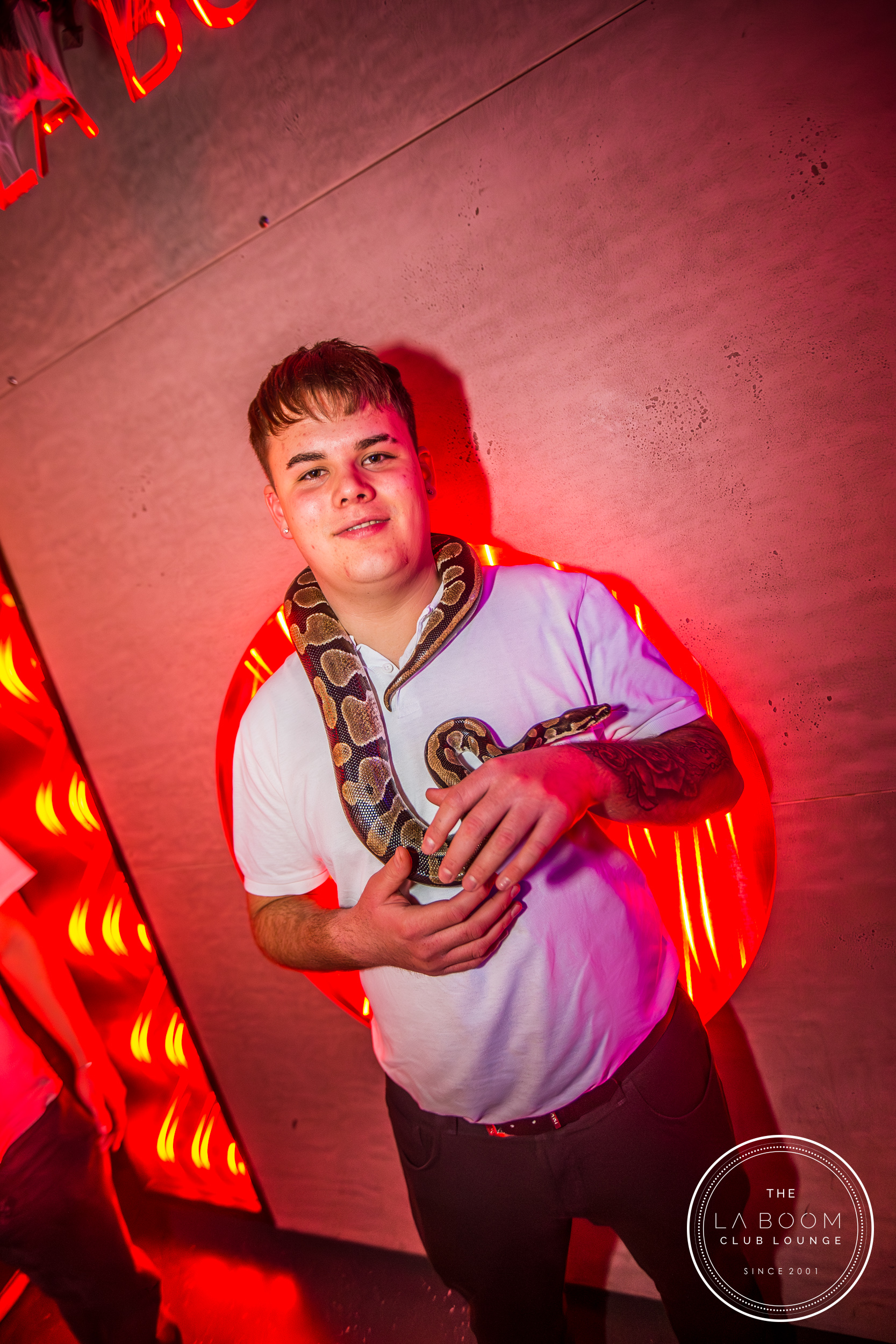 IMG 7120 Verbessert RR