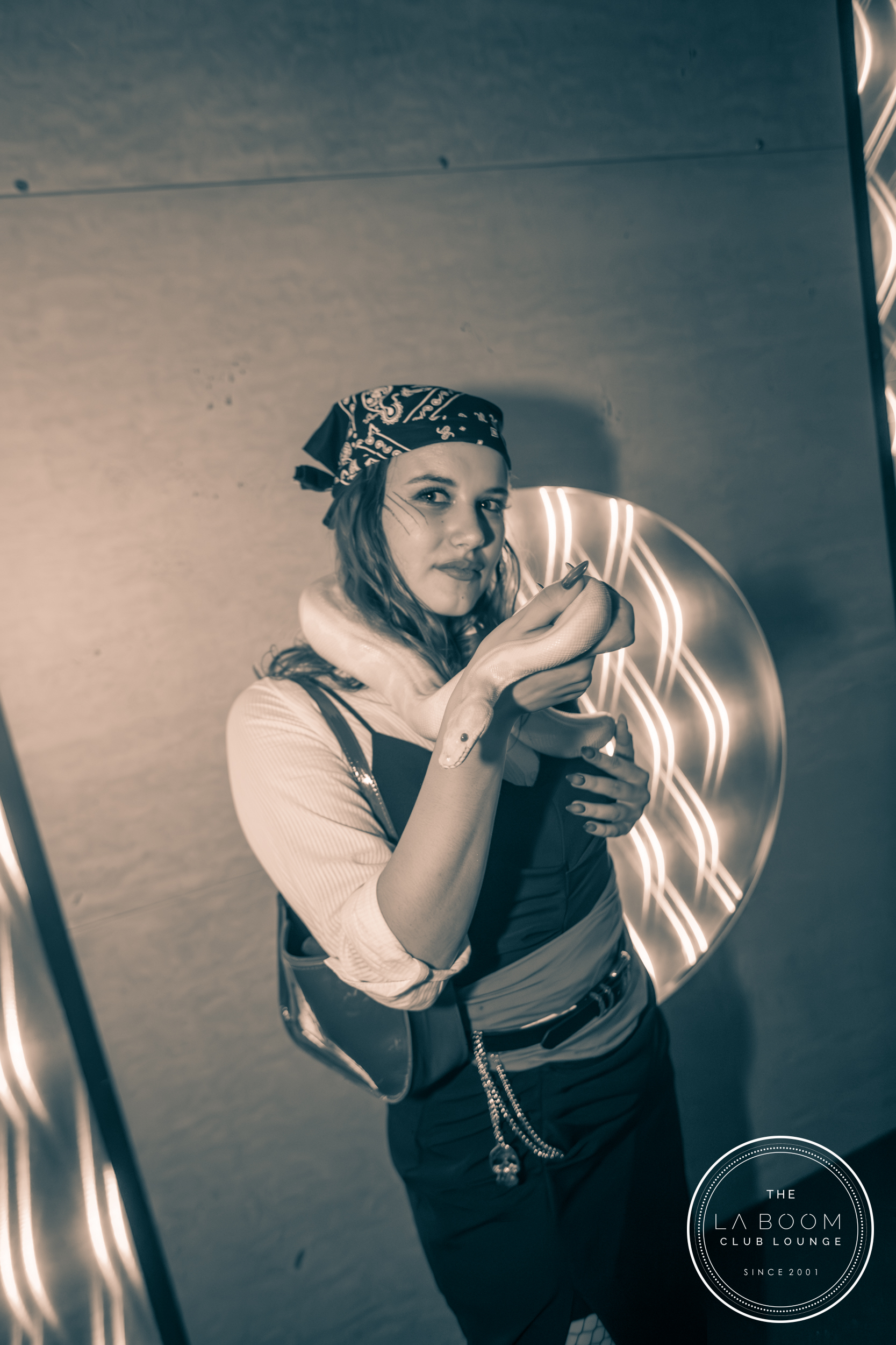 IMG 7130 Verbessert RR