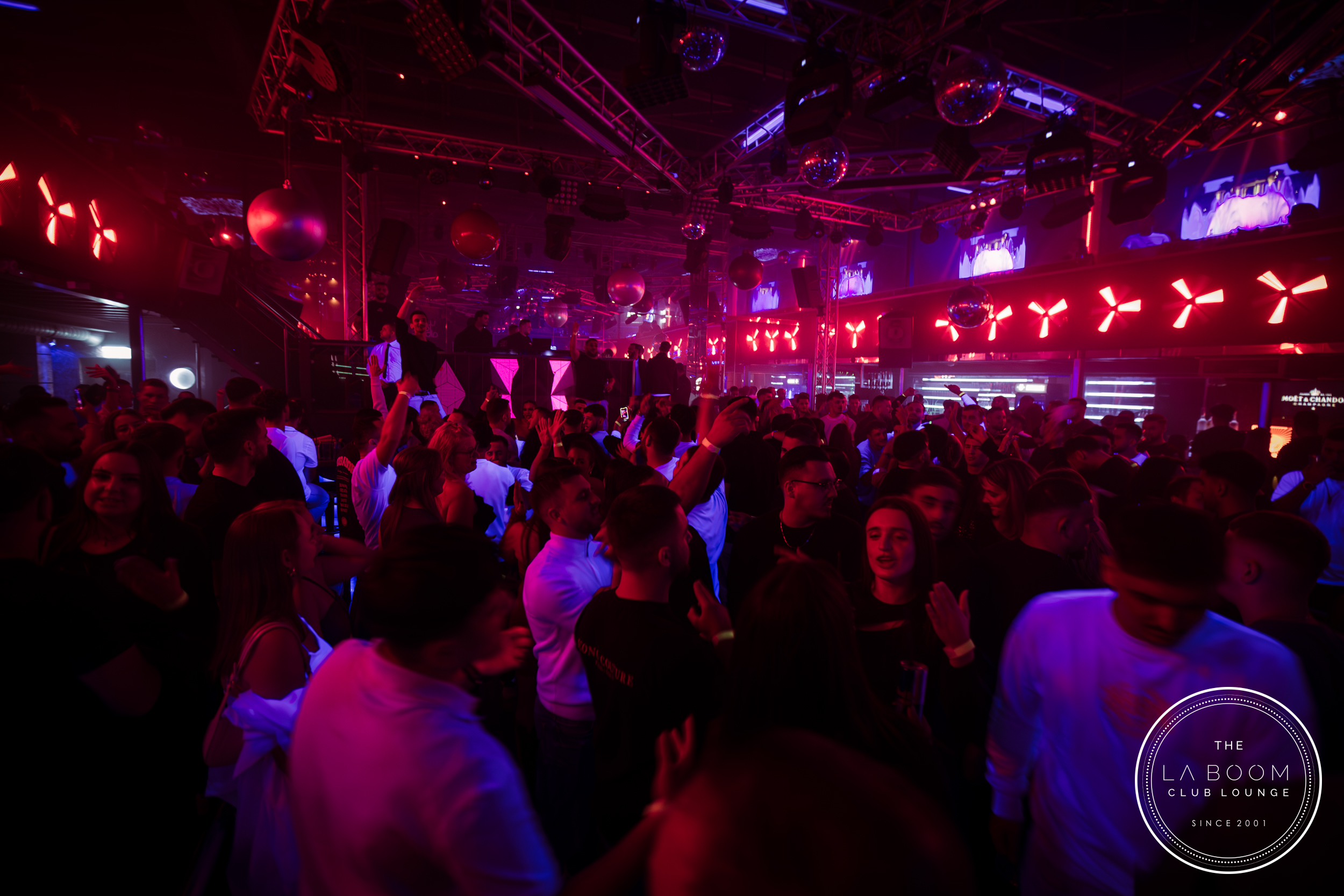 IMG 7359 Verbessert RR