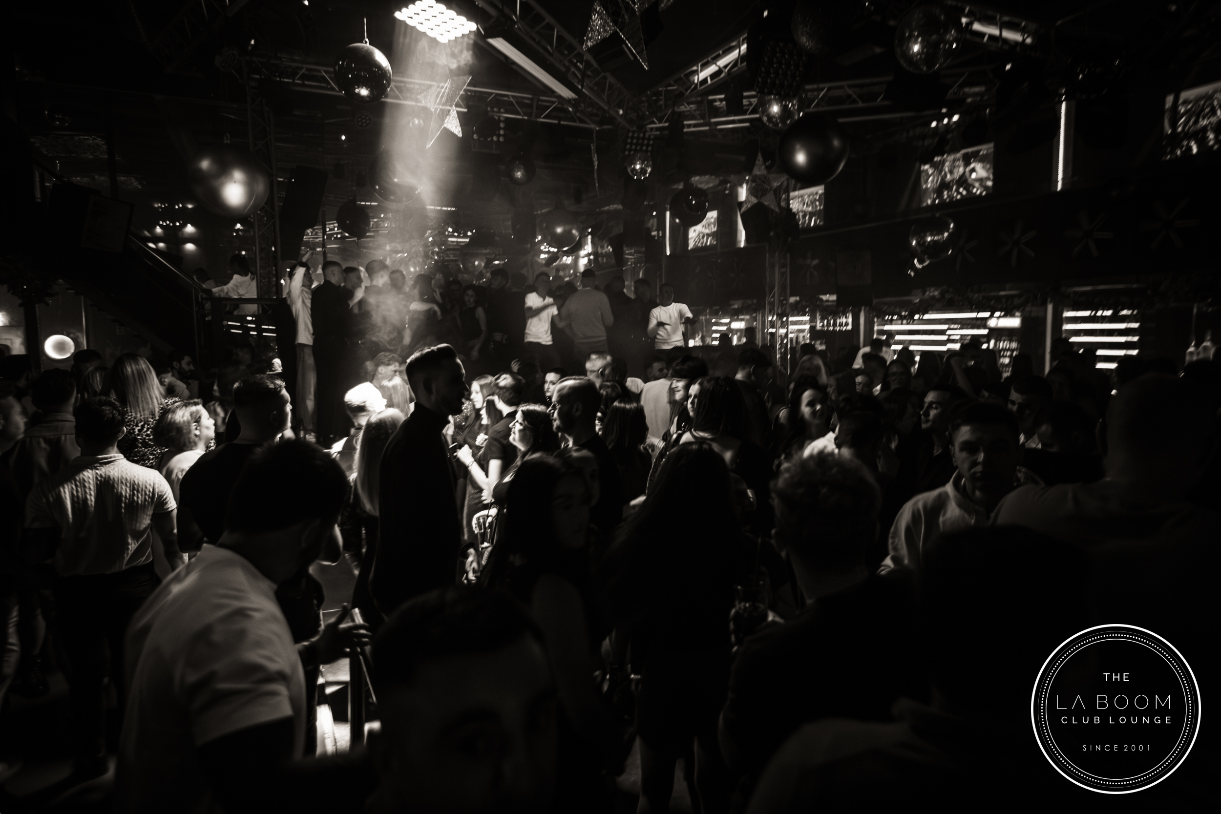 IMG 7536 Verbessert RR