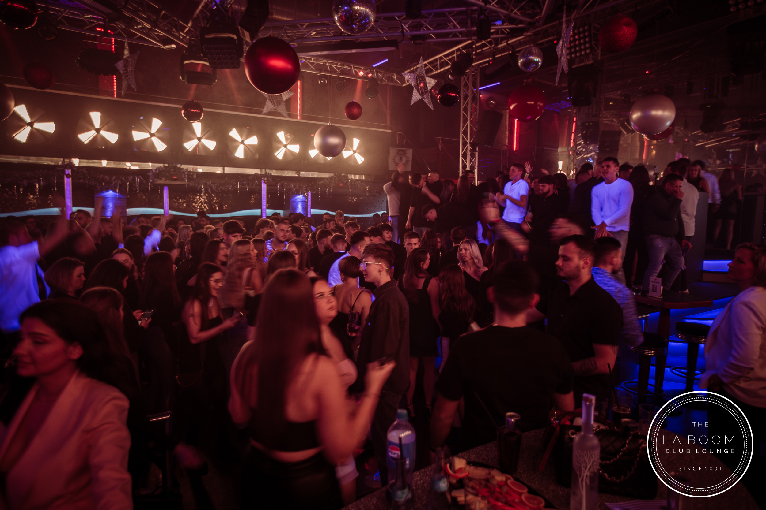 IMG 7540 Verbessert RR