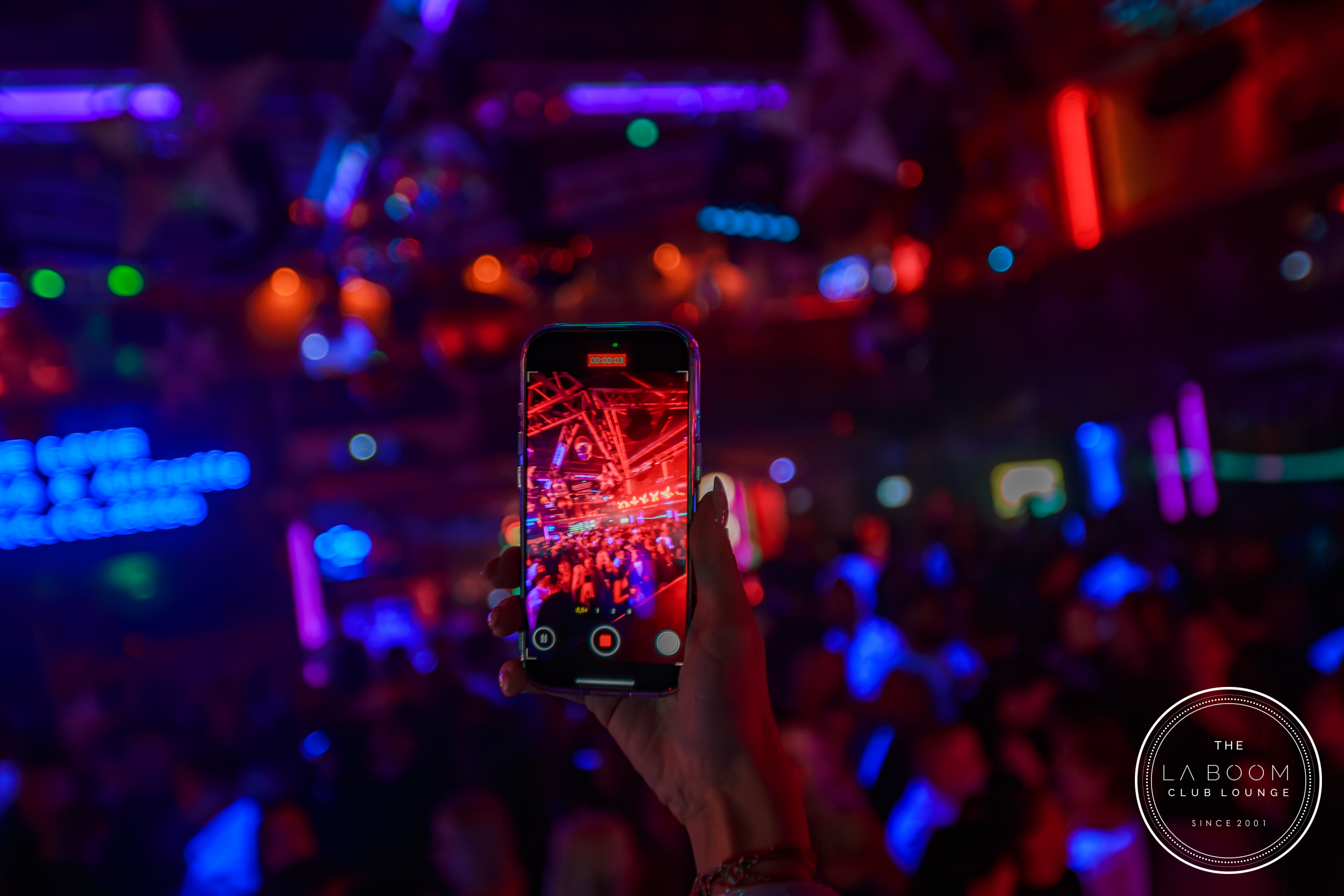 IMG 7560 Verbessert RR