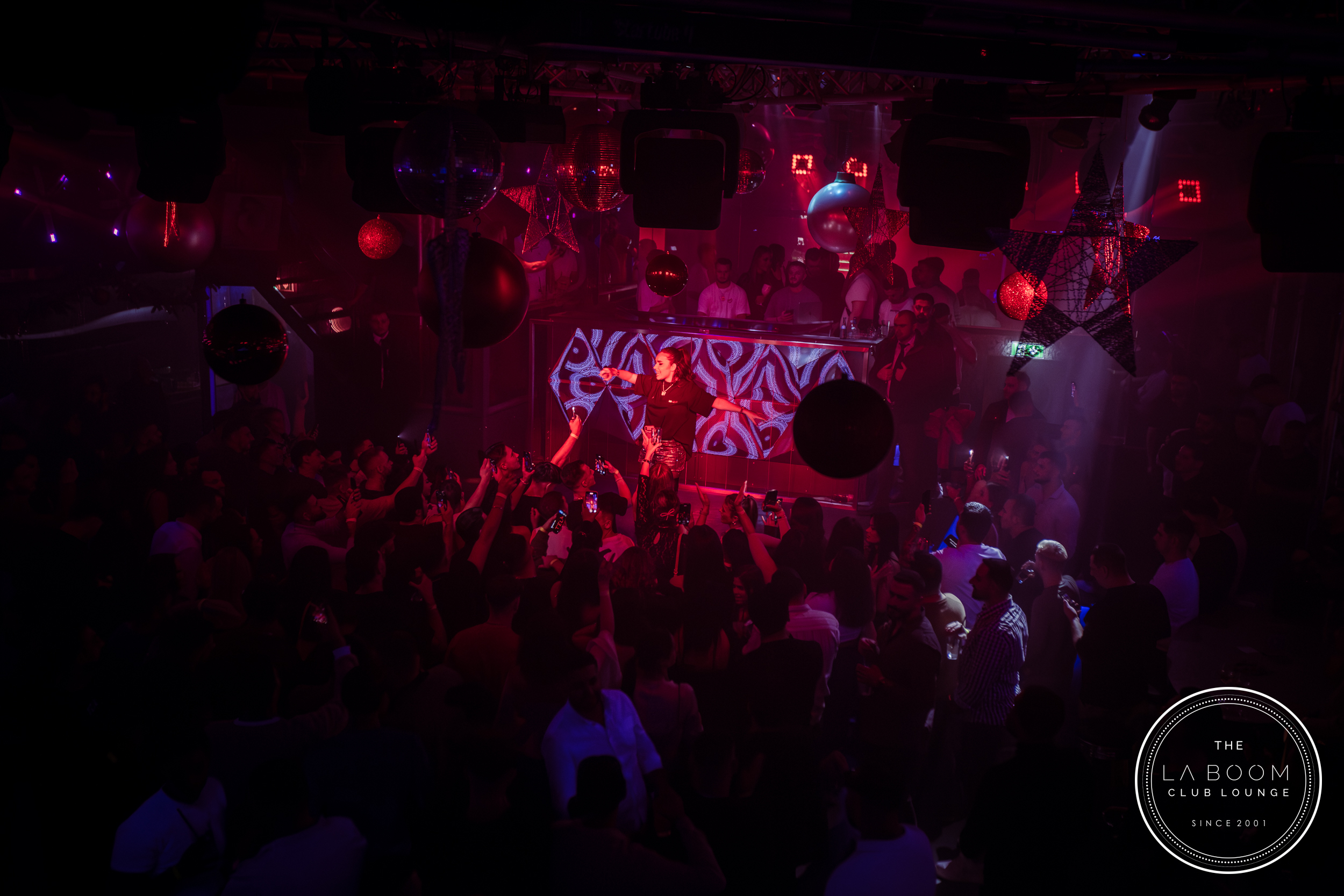 IMG 7694 Verbessert RR