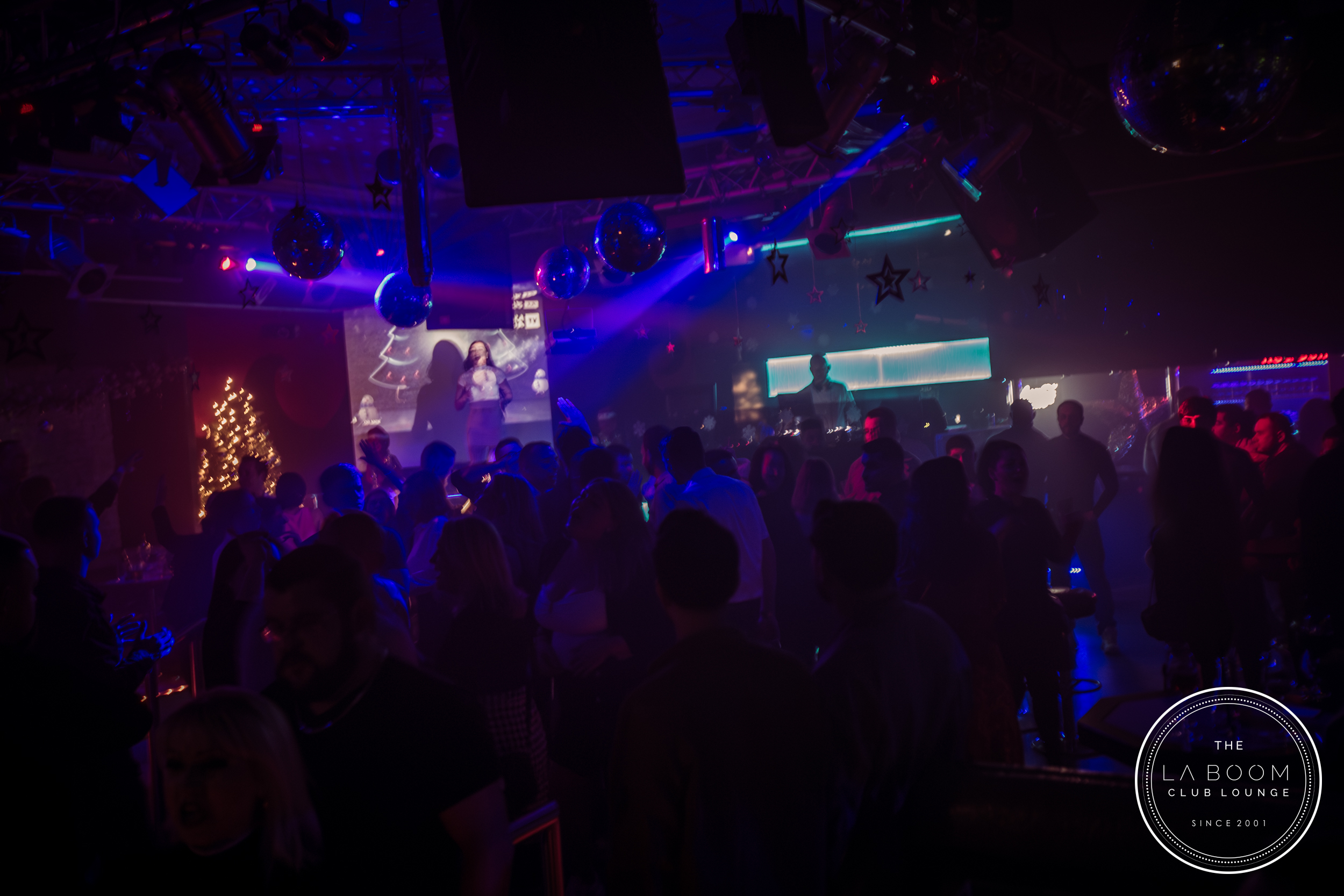 IMG 7744 Verbessert RR