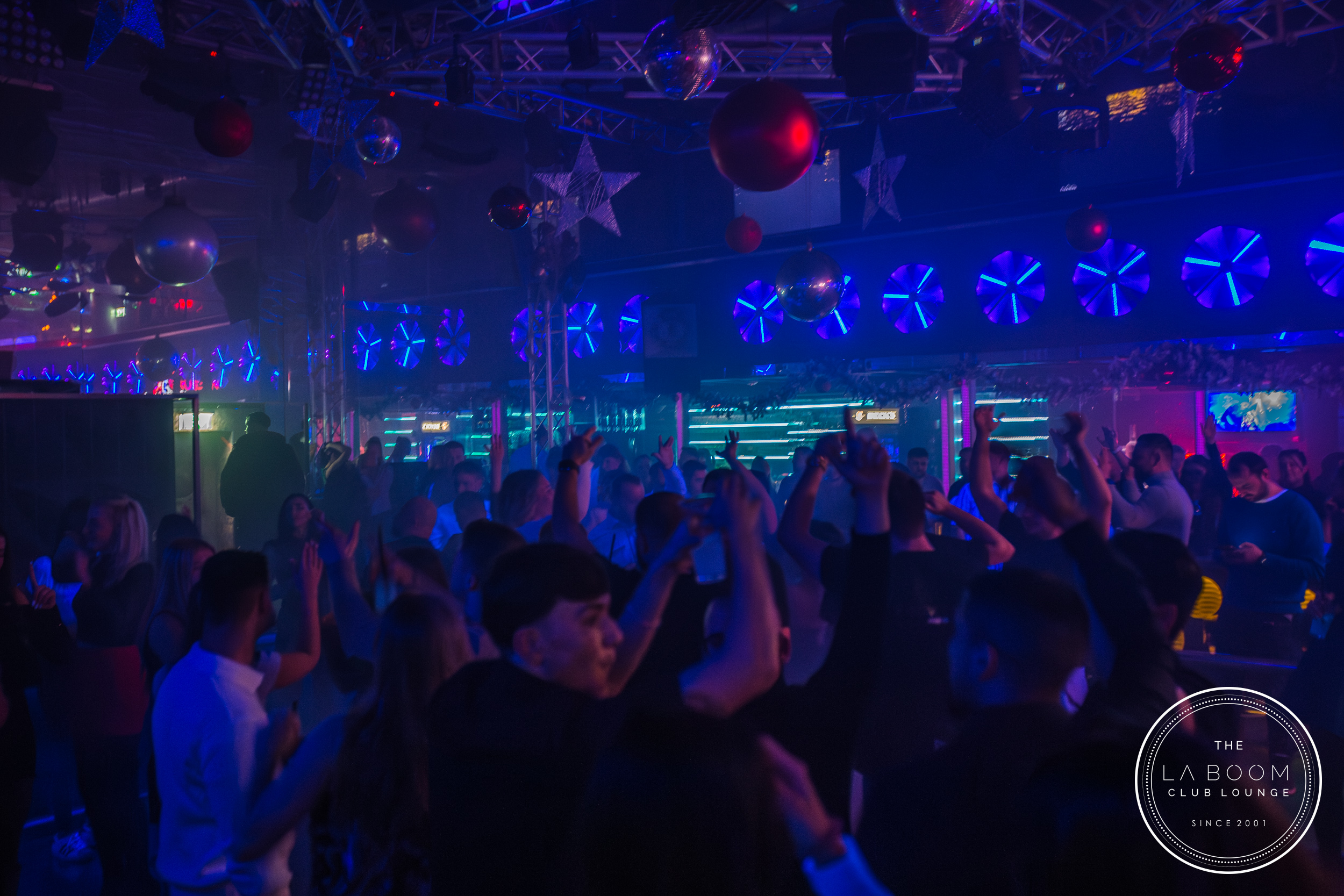 IMG 7800 Verbessert RR