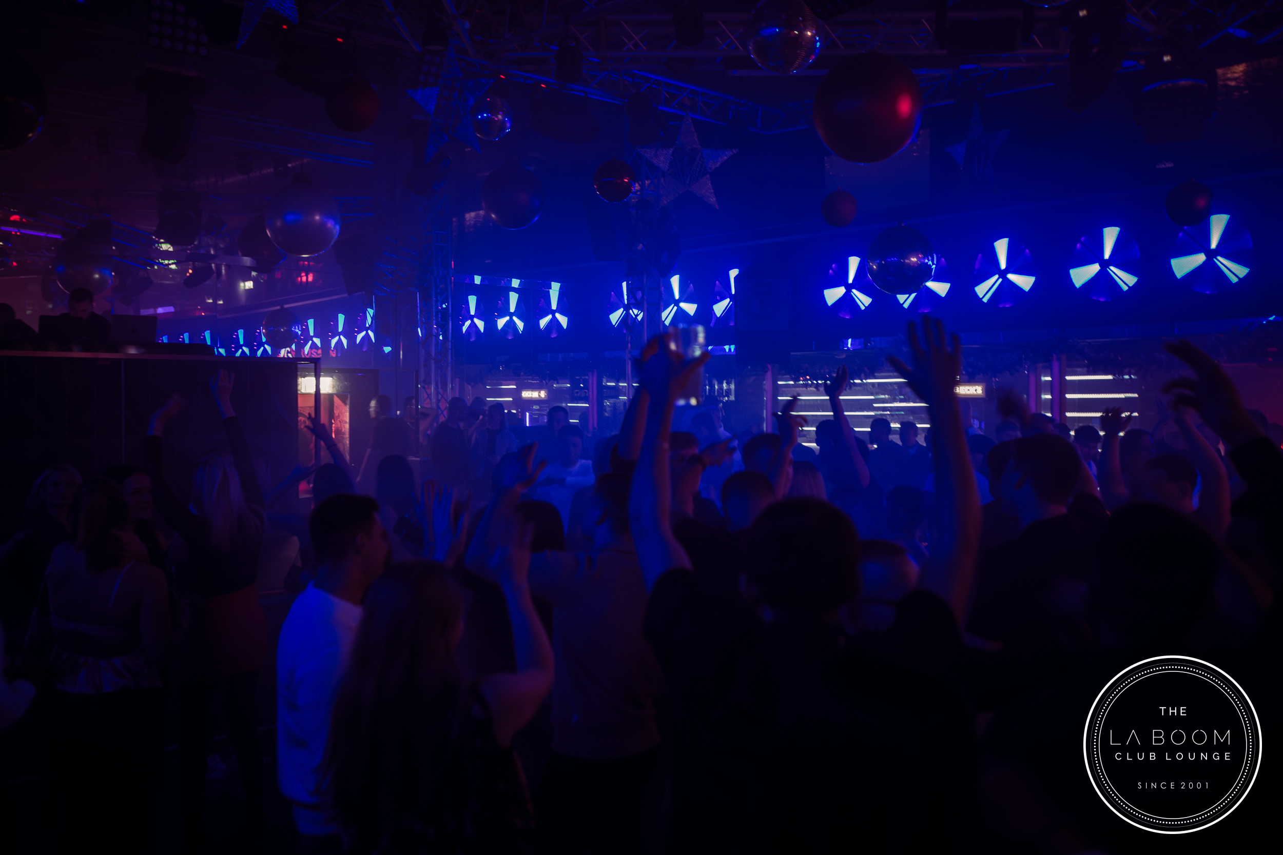 IMG 7801 Verbessert RR