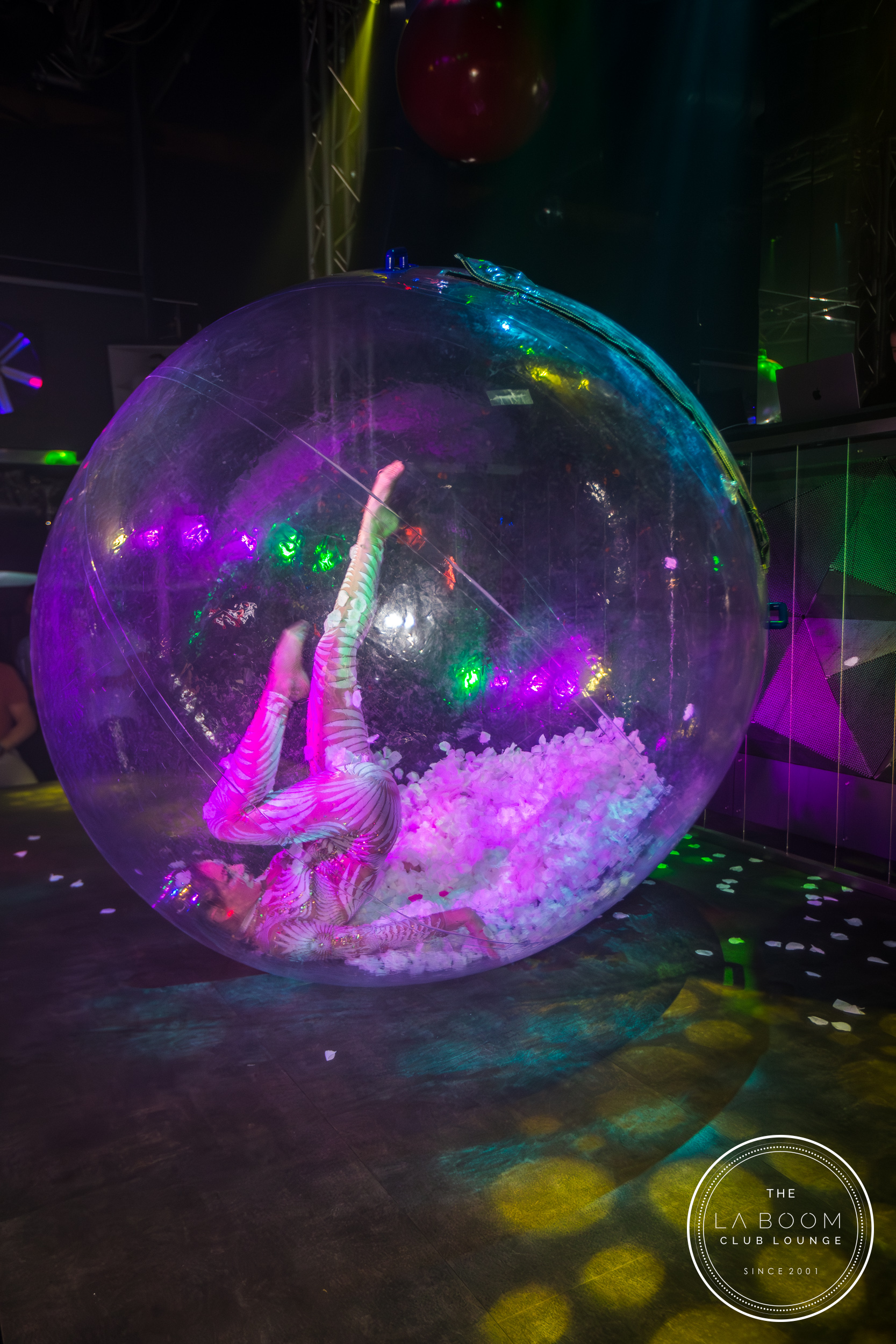 IMG 7813 Verbessert RR