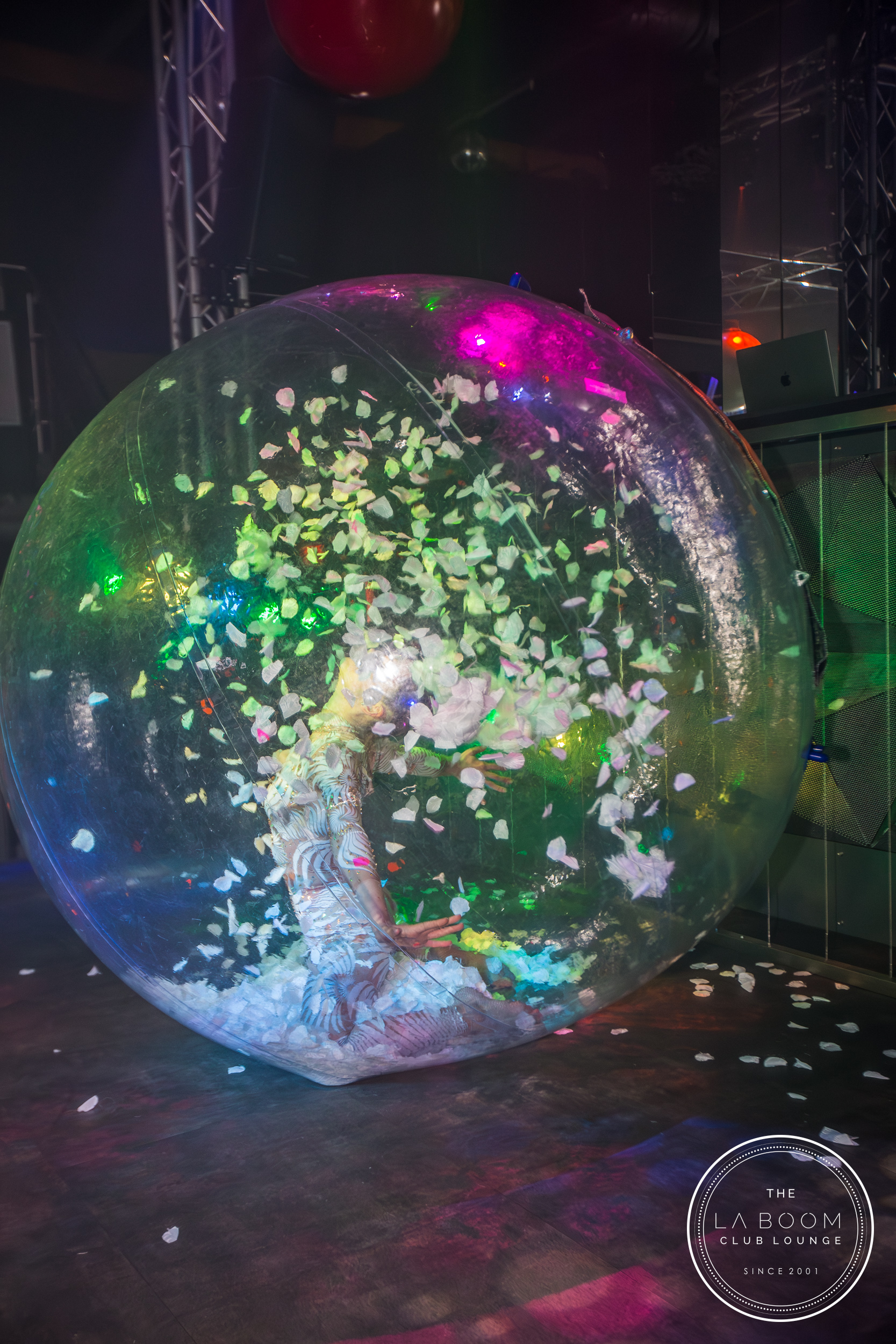 IMG 7820 Verbessert RR