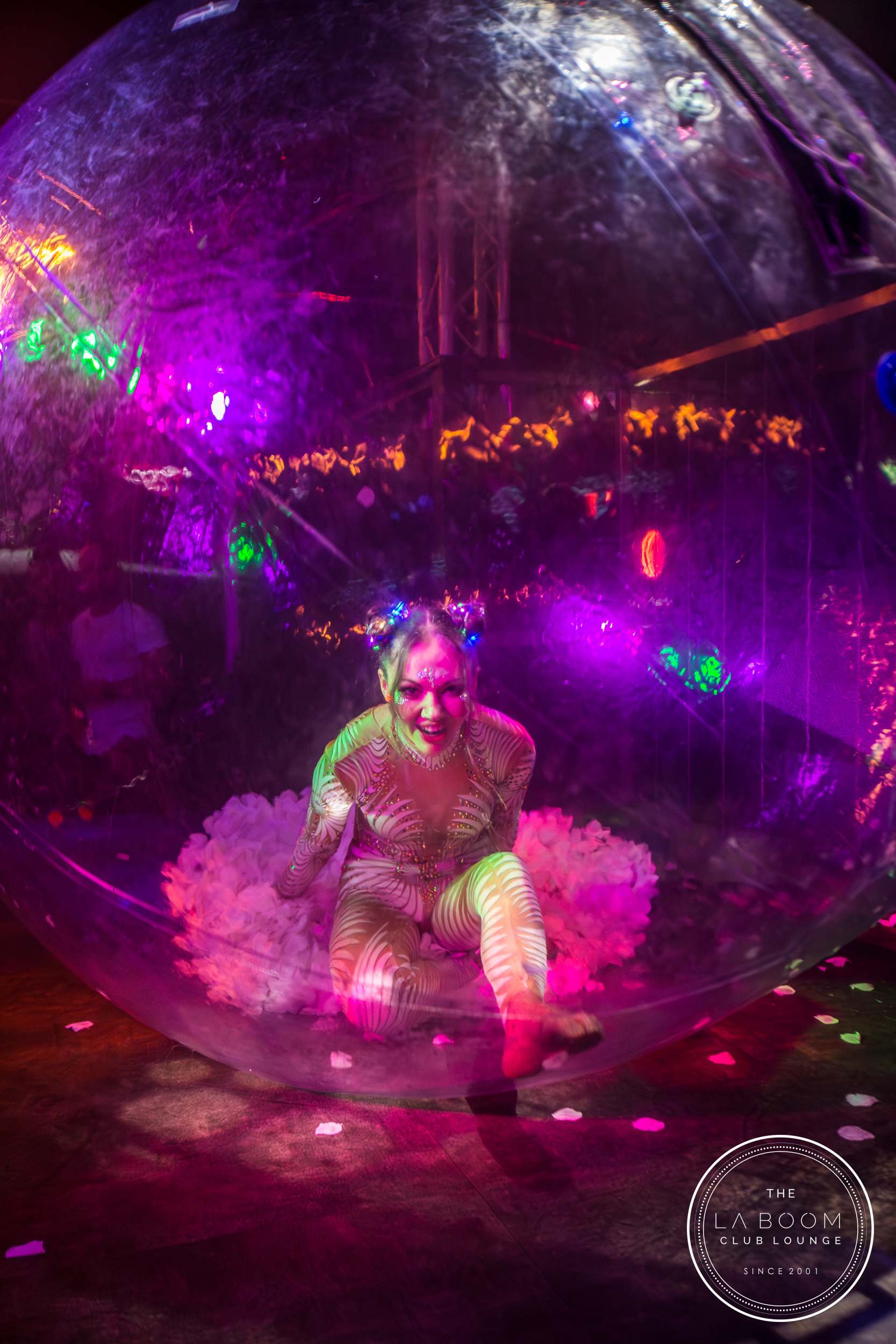 IMG 7831 Verbessert RR